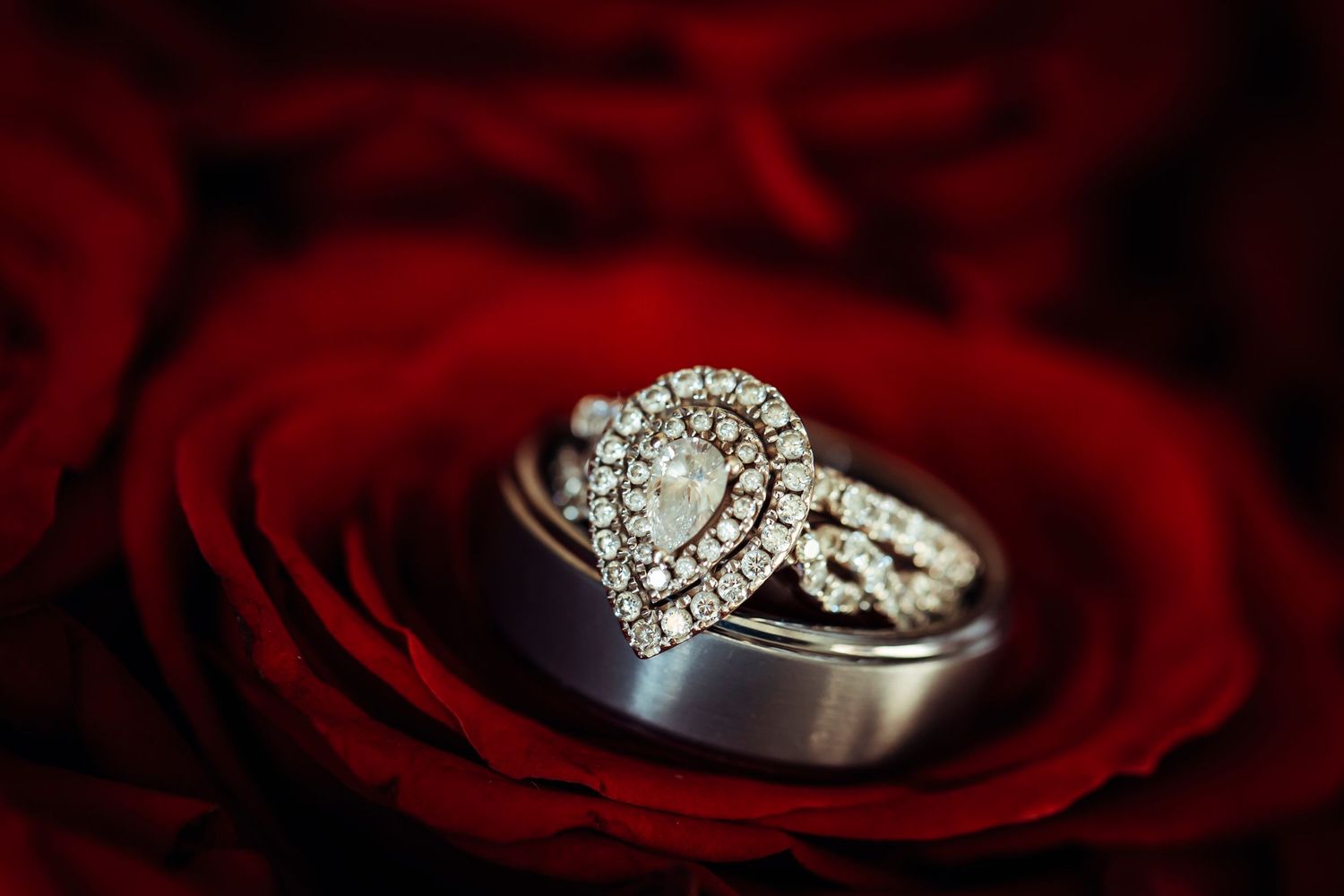 Heart-shaped diamond engagement ring and wedding band nestled in red rose petals.