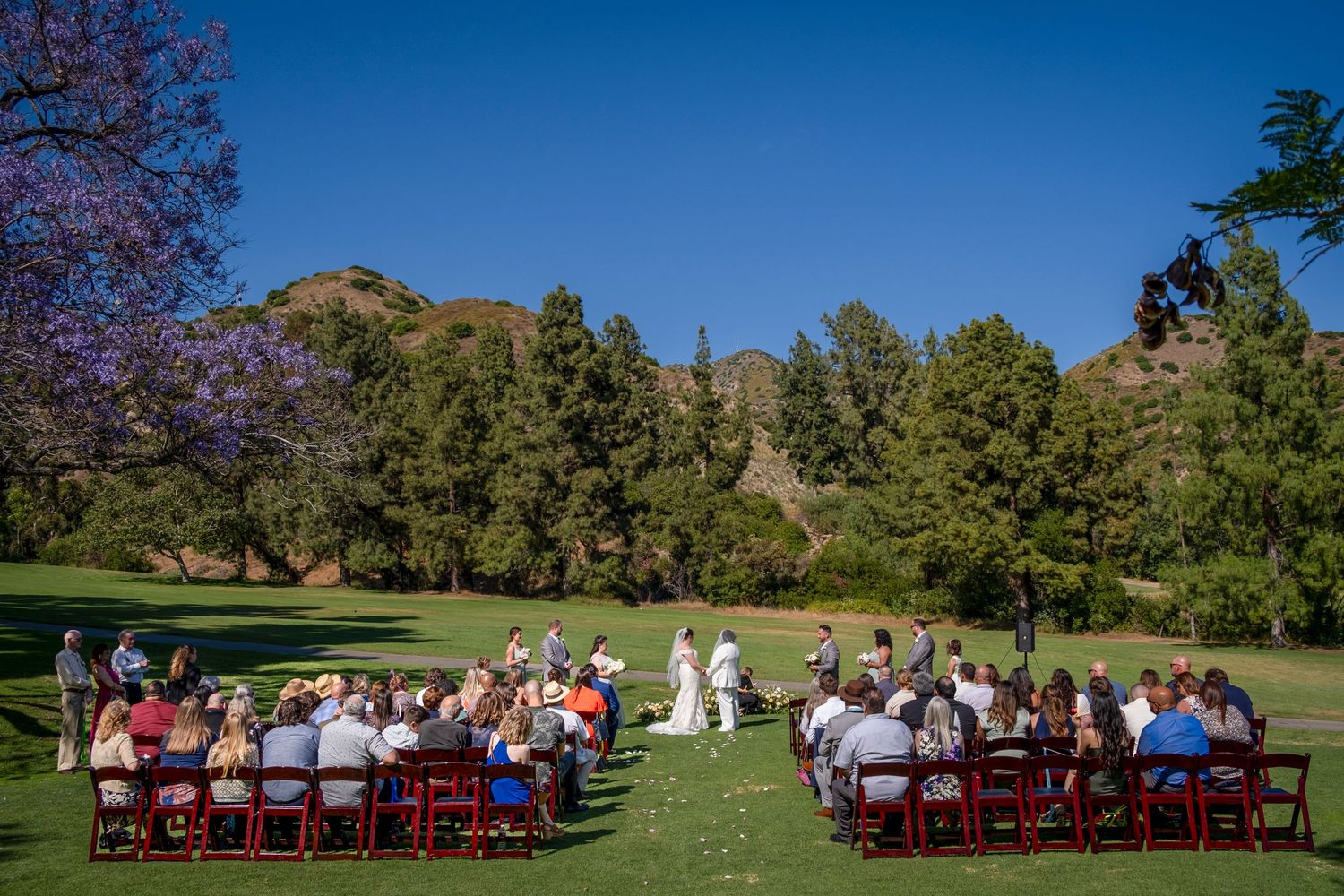 Wedding guests seated in red chairs on a grassy lawn with mountains in the background.