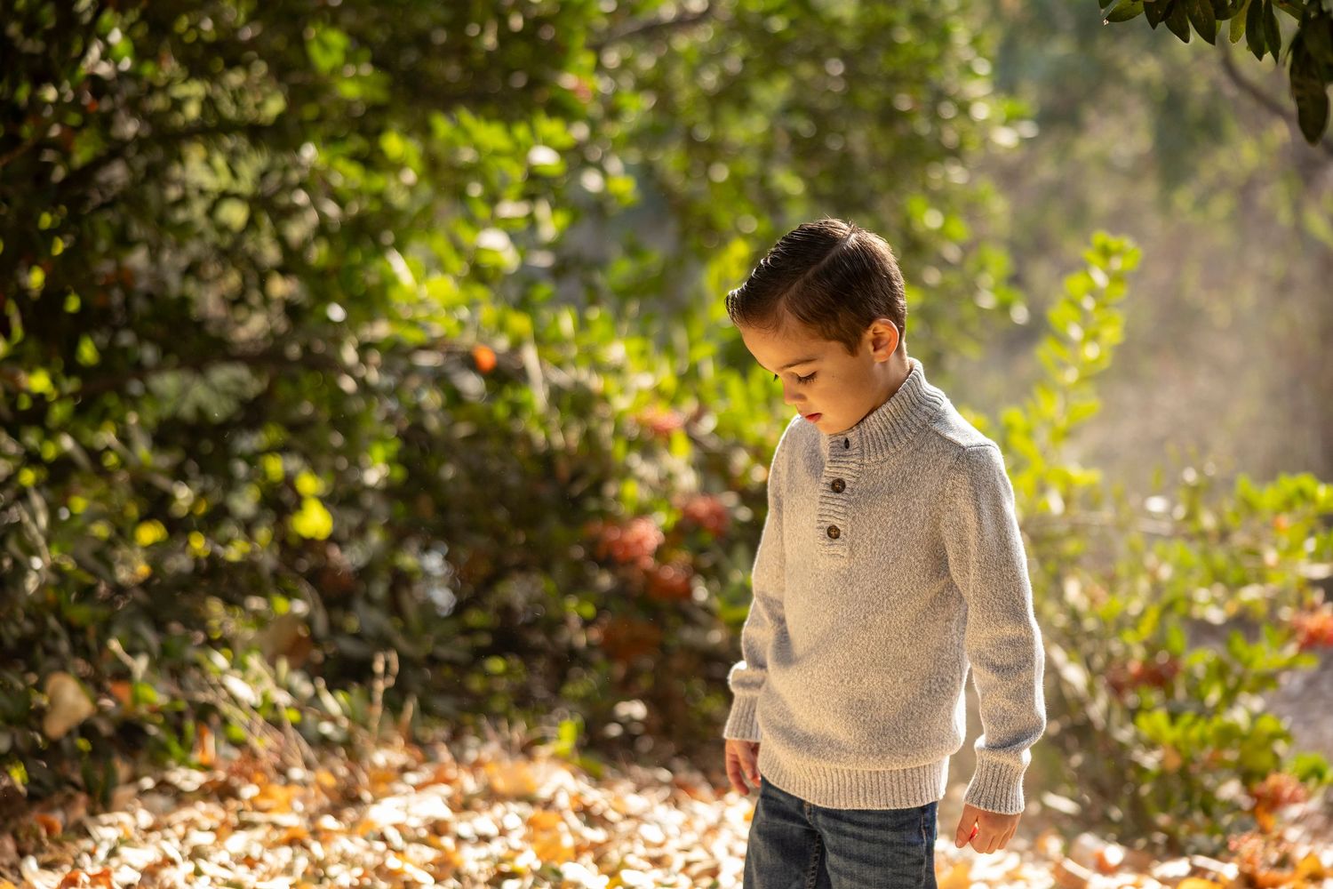 Golden autumn sunlight filters through trees casting warm shadows across a serene outdoor scene.