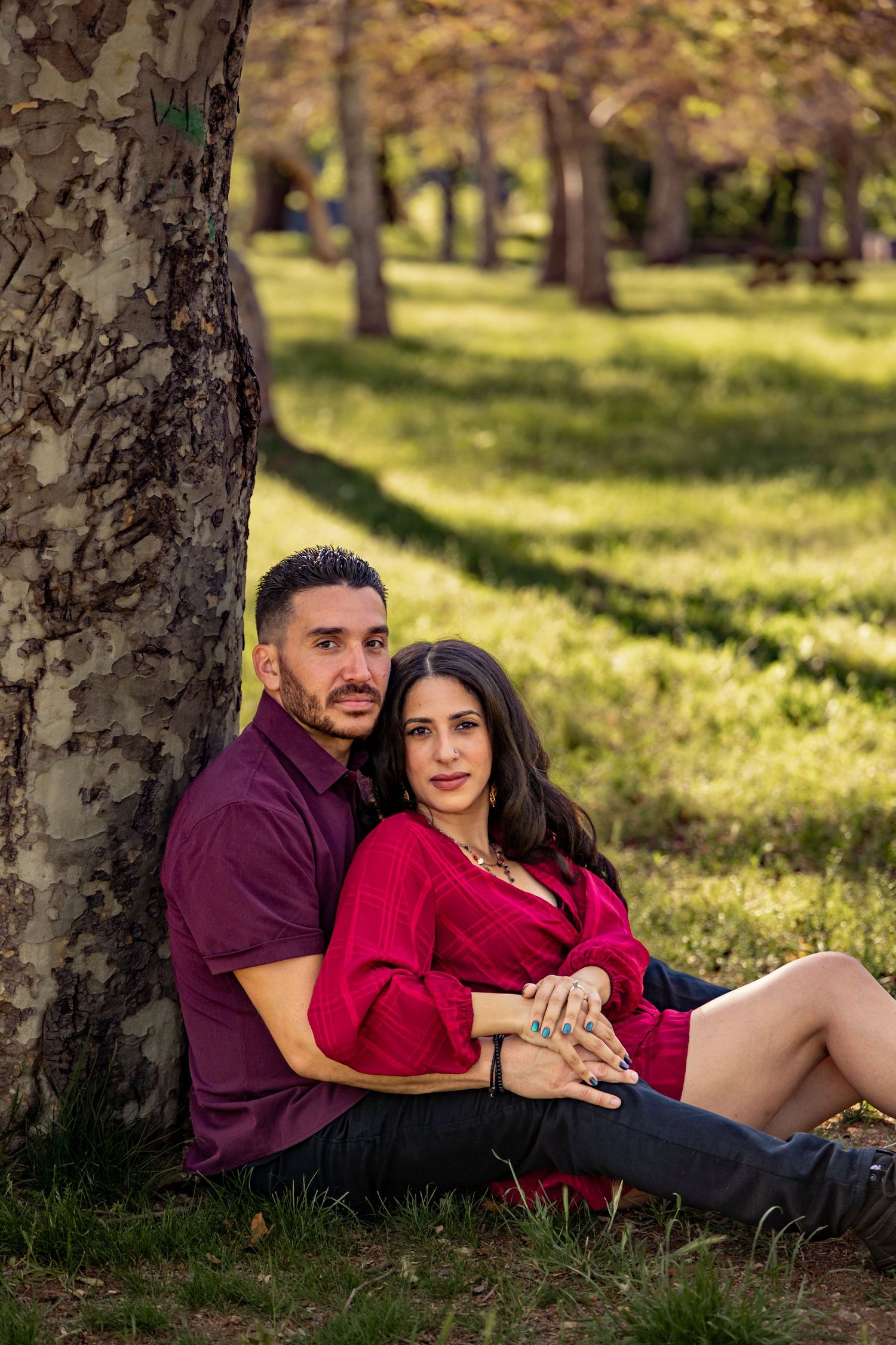 A couple in burgundy attire sitting together against a tree in a sunny park.