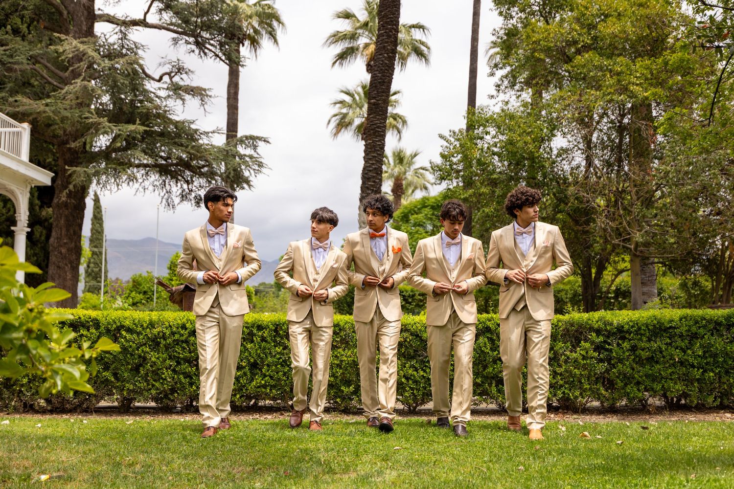 Five chambelanes in matching cream-colored suits looking at phones in tropical garden setting in San Jacinto.