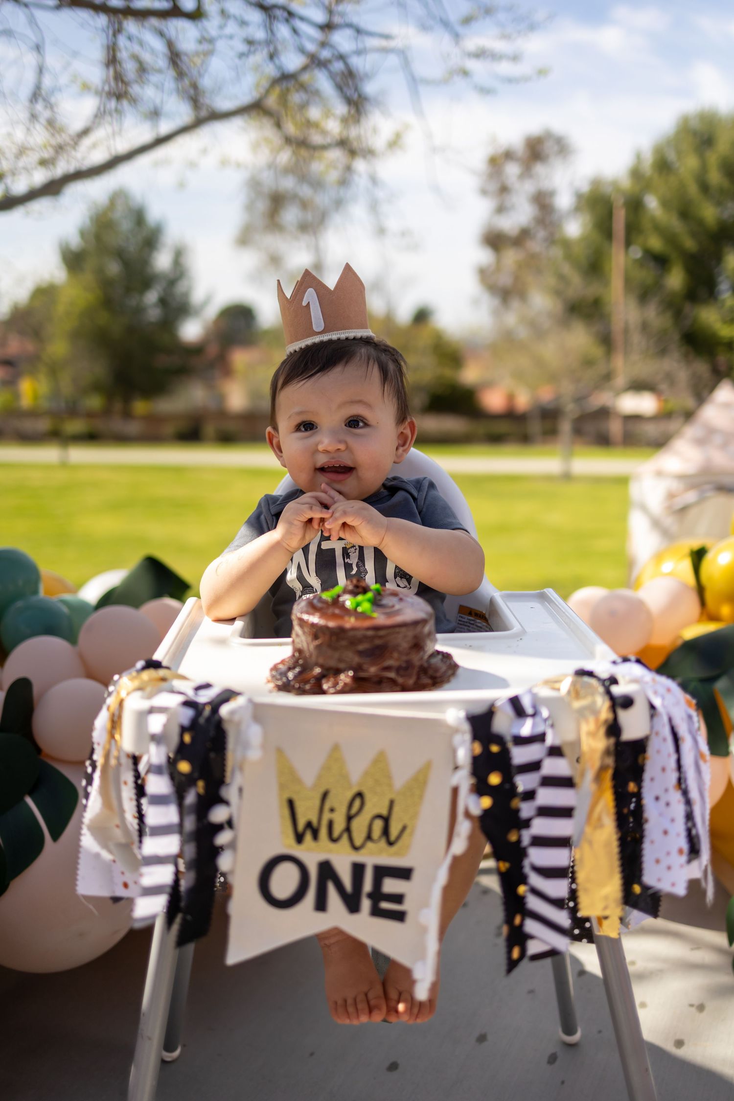 First birthday celebration with chocolate cake and Wild One themed decorations.