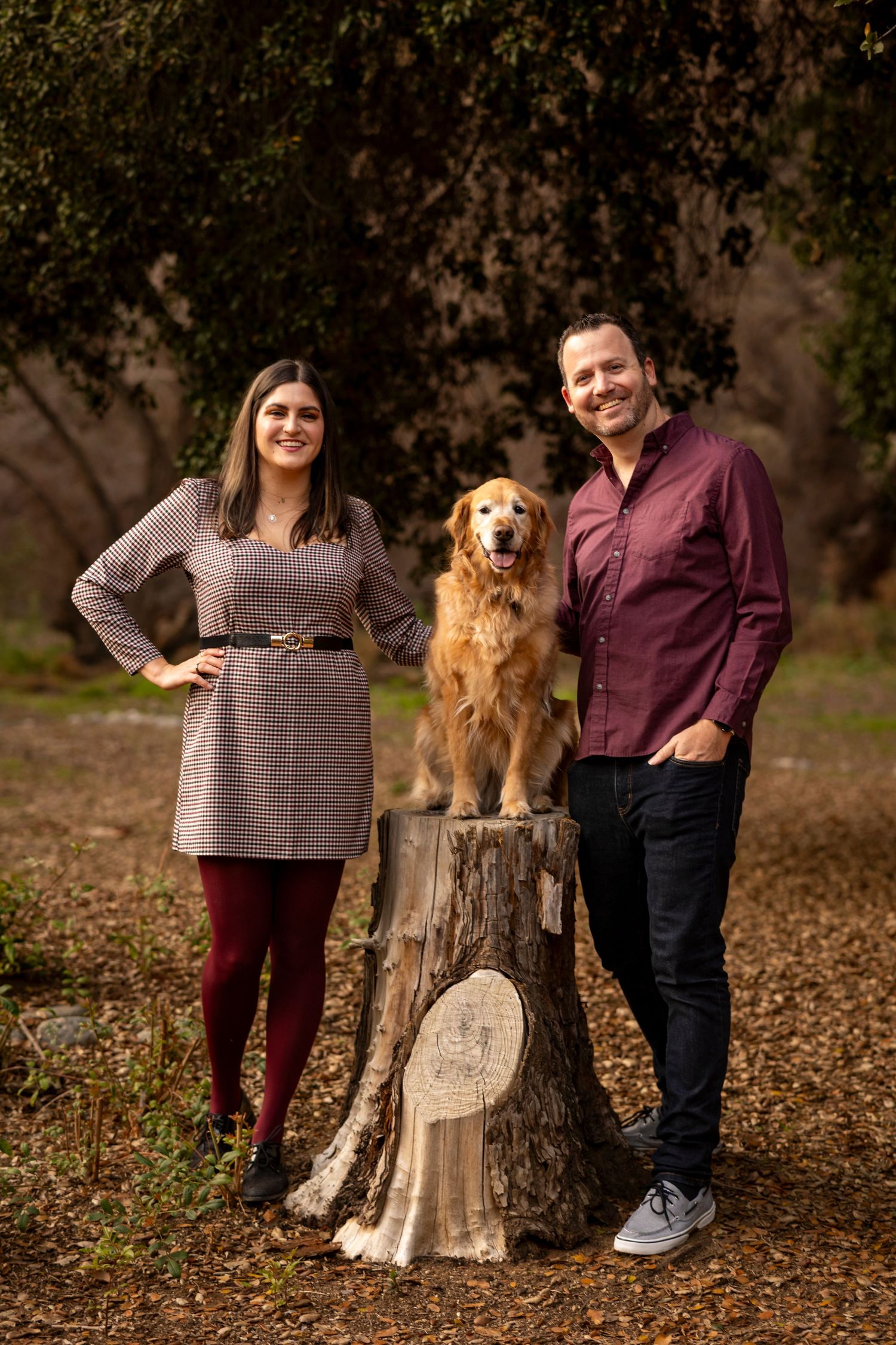 Couple posing with their golden retriever dog near a tree stump in an autumn forest setting.