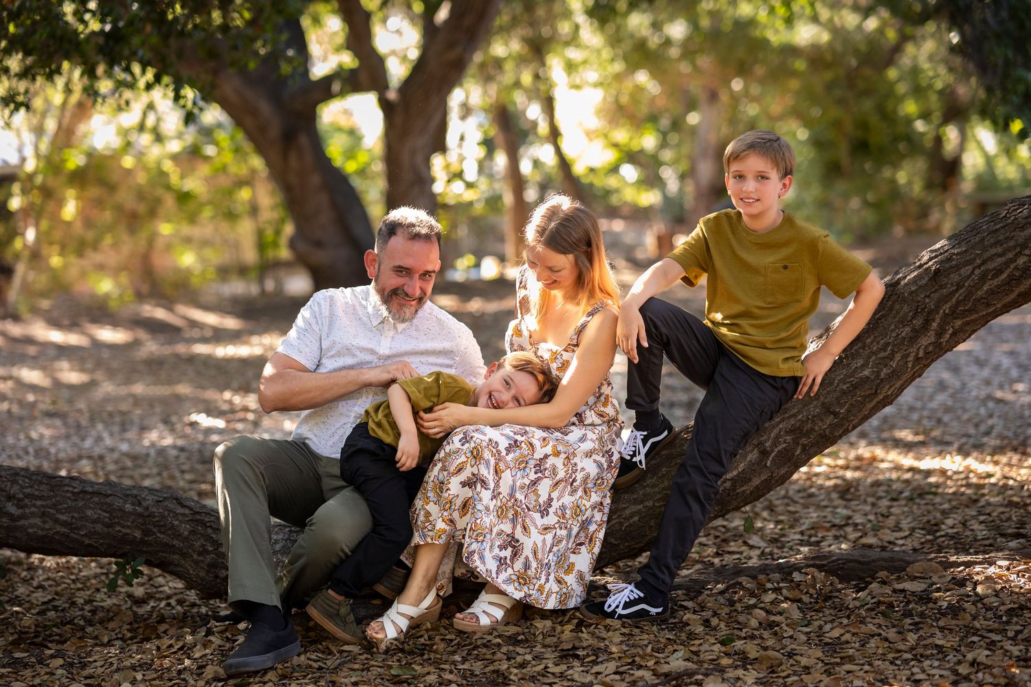 Family lounging together on fallen tree branches in a sunlit outdoor setting during photo session.