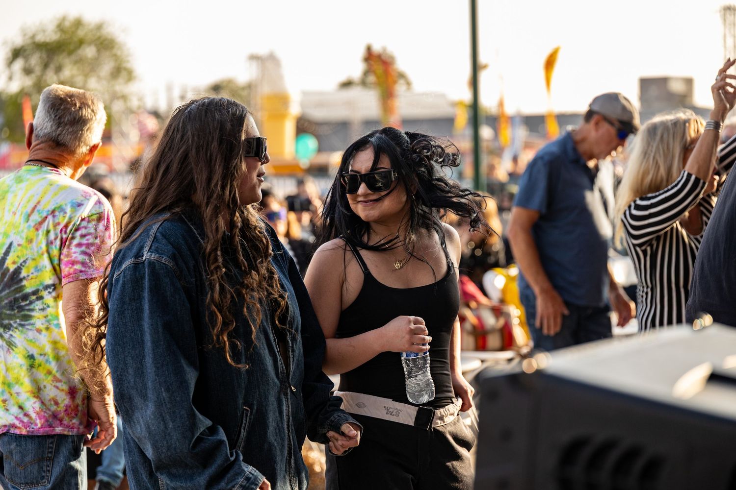 Festival attendees enjoying a sunny outdoor music event.