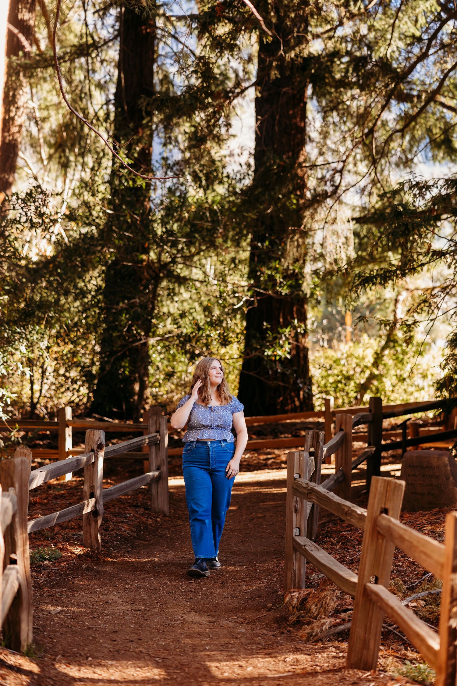 Walking path through redwood trees with wooden fence and dappled sunlight in Oak Glen.