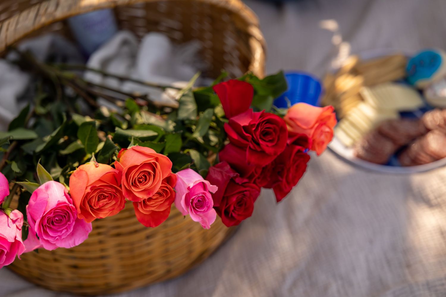 Colorful roses and picnic basket arranged on a blanket in dappled sunlight.