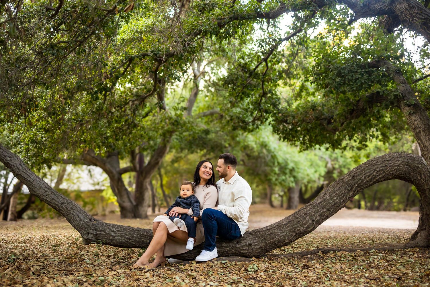 Couple sits together on large curved tree branch in sunlit park setting.