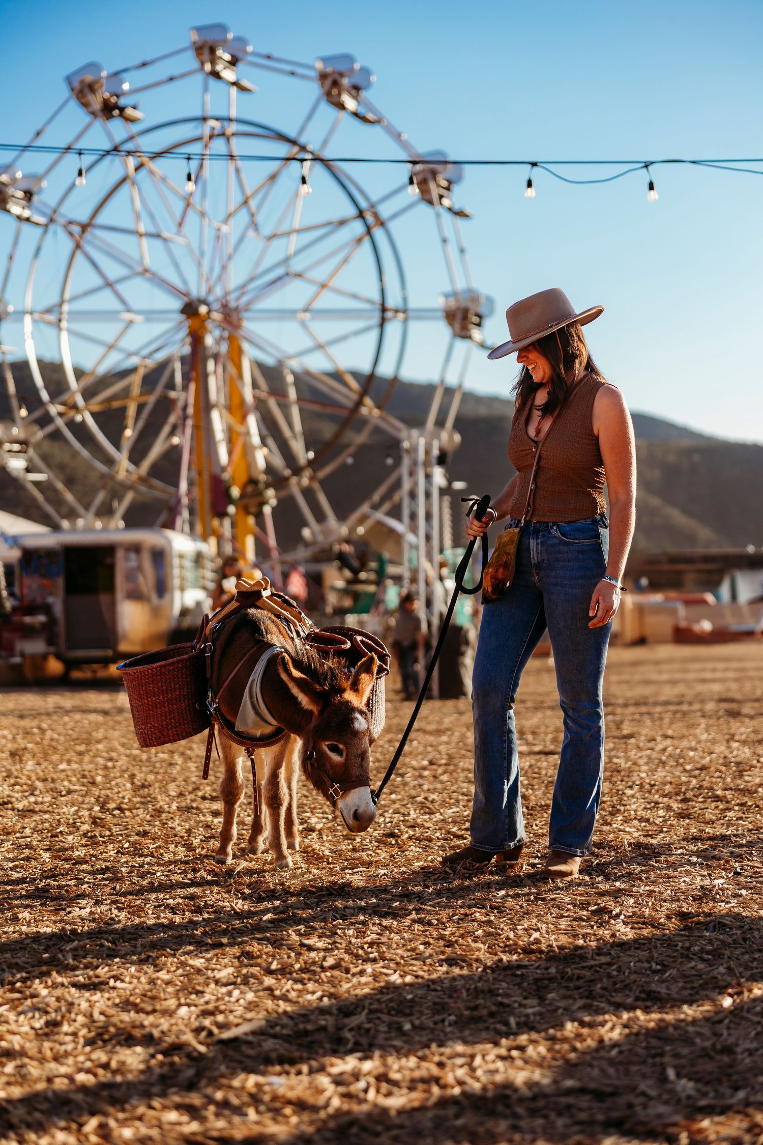A cowboy-styled figure stands with a donkey against a backdrop of a ferris wheel at sunset.