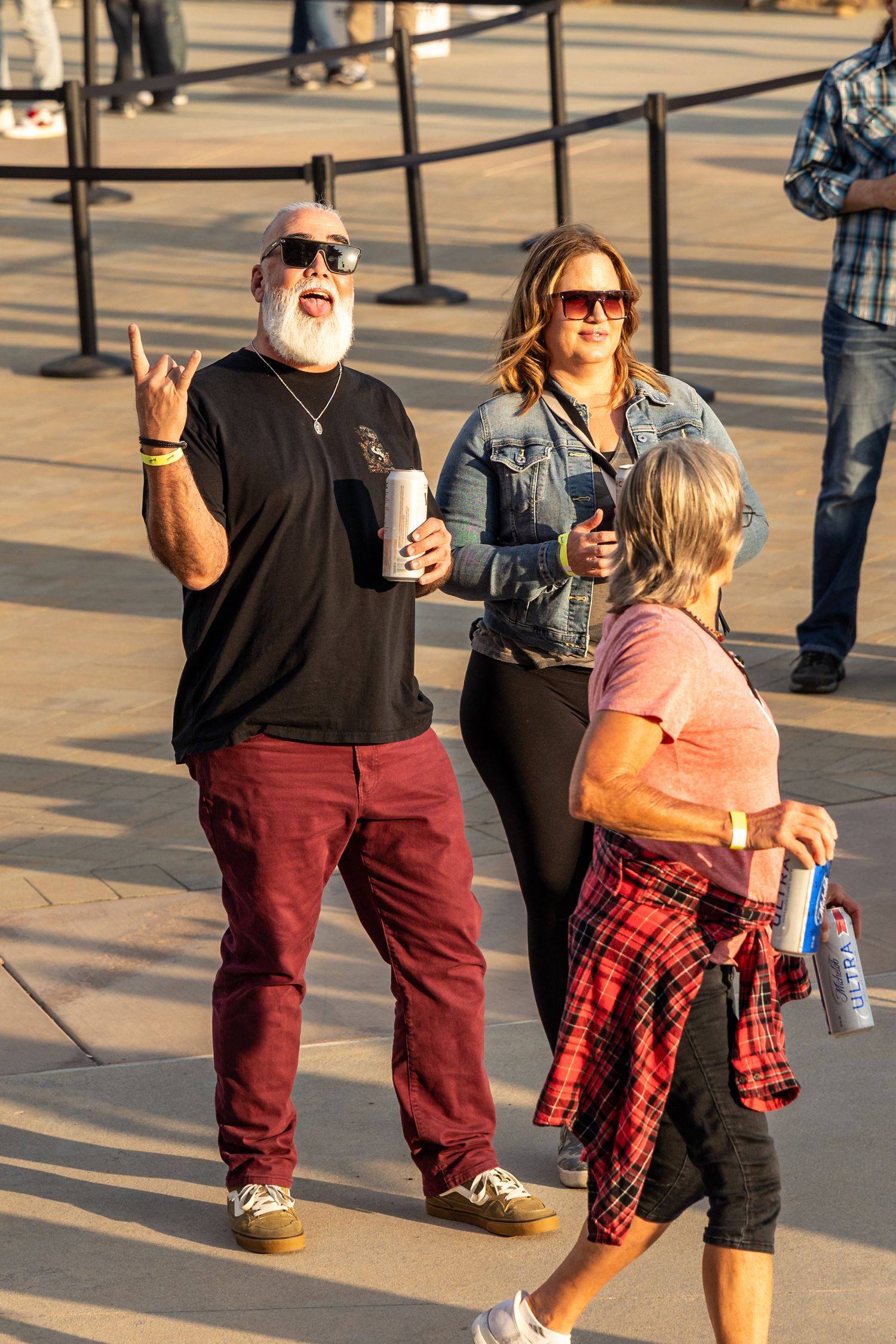 Concert attendees making rock hand gestures while enjoying outdoor music festival.