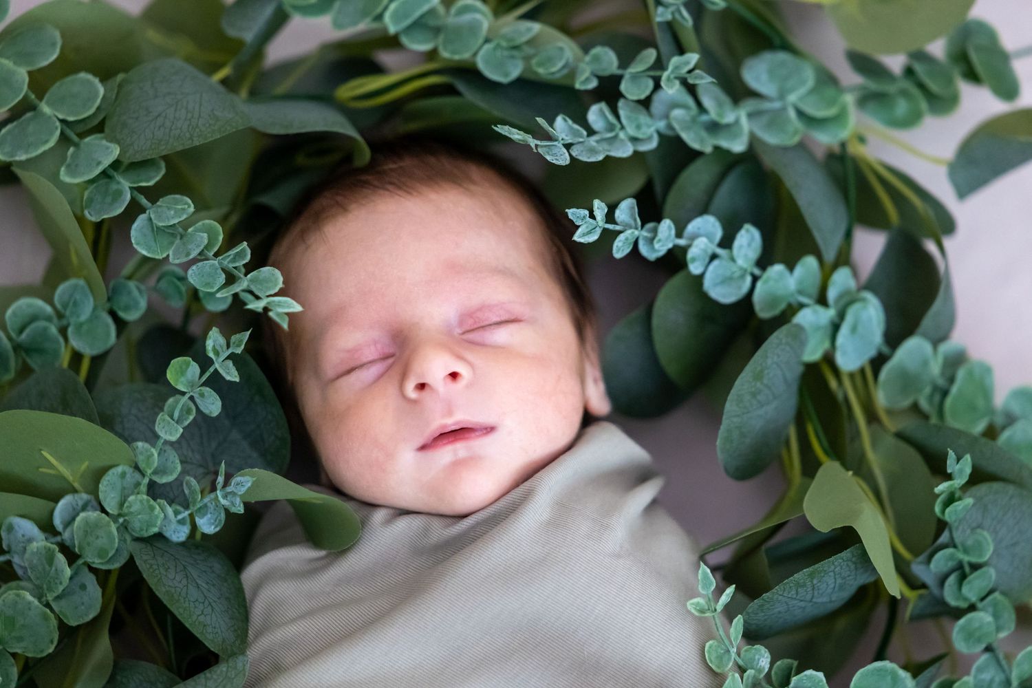 A sleeping baby nestled among green ferns and foliage creates a peaceful nature-inspired portrait in his new home in Beaumont