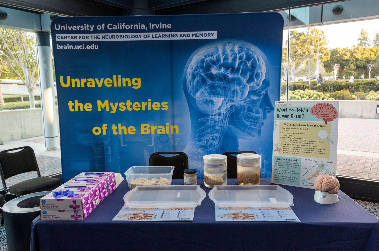 Series of research posters about brain science and neurology displayed at a UC Irvine research exhibition.