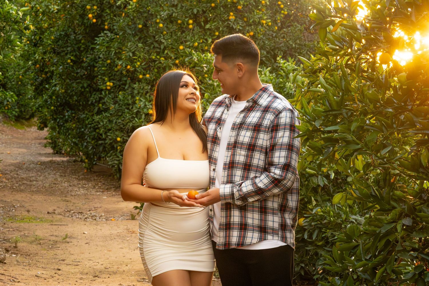 A couple shares an intimate moment at sunset among citrus trees.