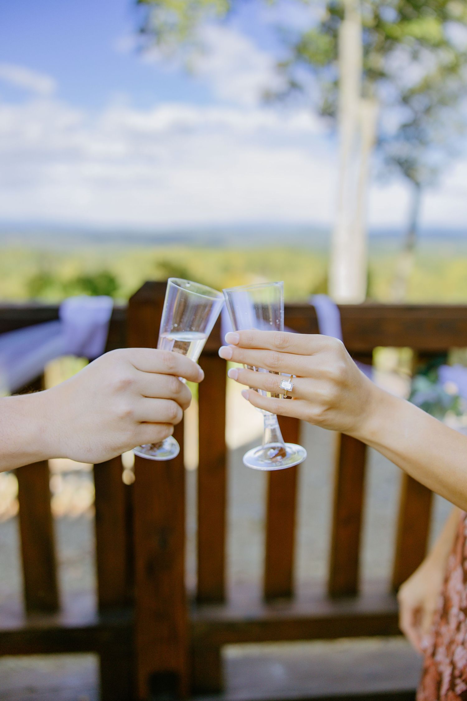 Two hands raise champagne glasses in a toast against a scenic outdoor backdrop with wooden railing and blue sky.