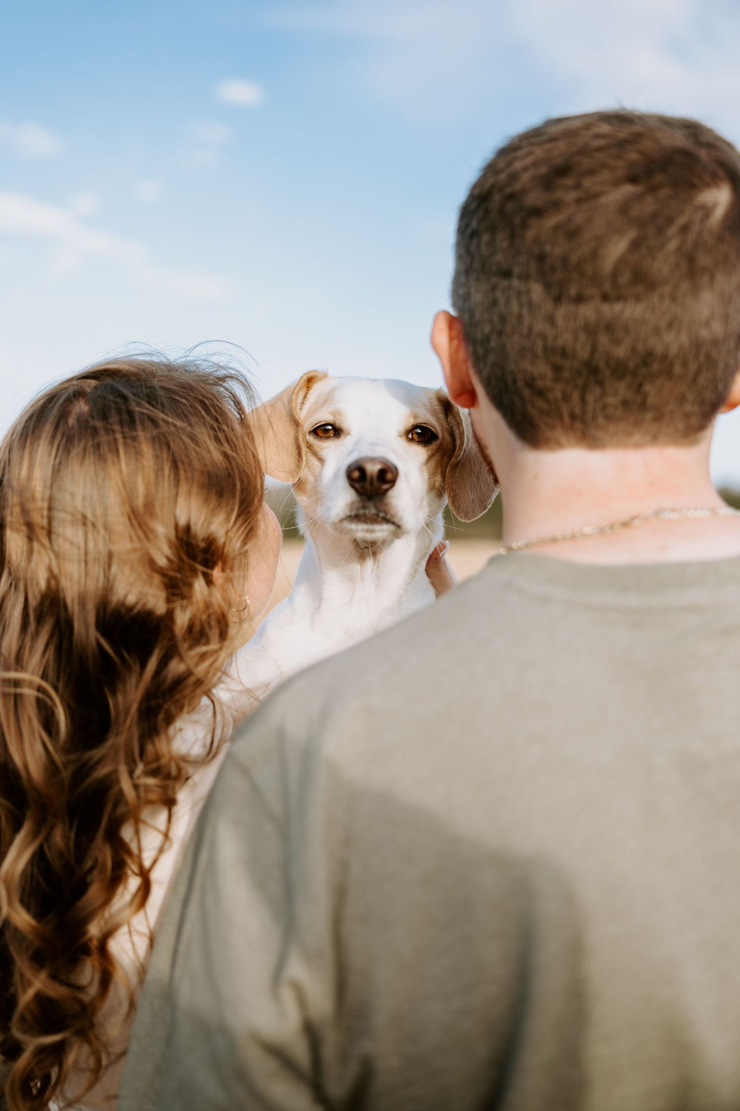 A cute beagle peeks between a couple from behind in an outdoor portrait.
