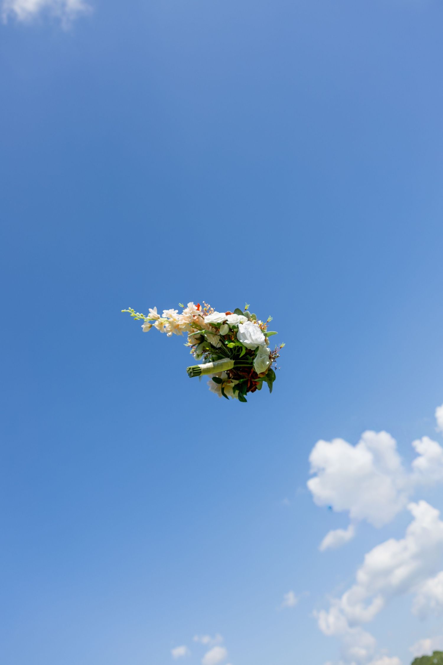 White flower petals and green leaves float against a bright blue sky with scattered puffy white clouds.