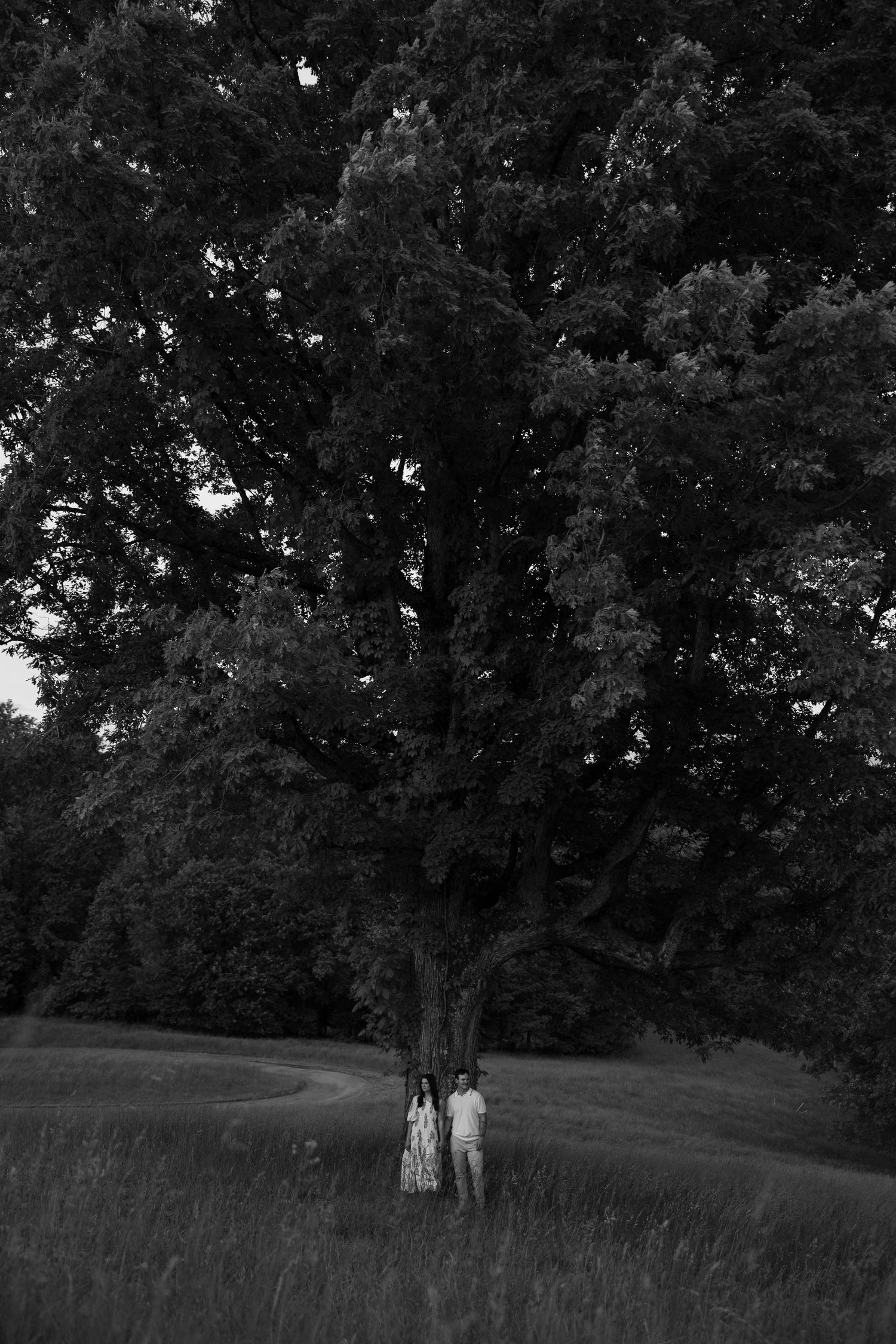 A black and white silhouette of a couple from an engagement session at Montaluce Winery, standing beneath a majestic tree in an open field.