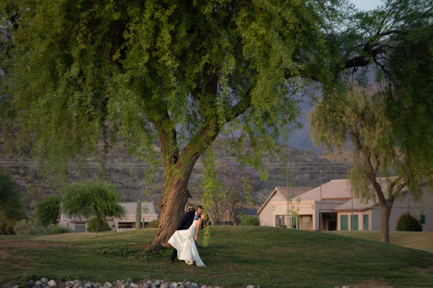 Wedding couple sharing romantic moment under large willow tree in lush garden setting.