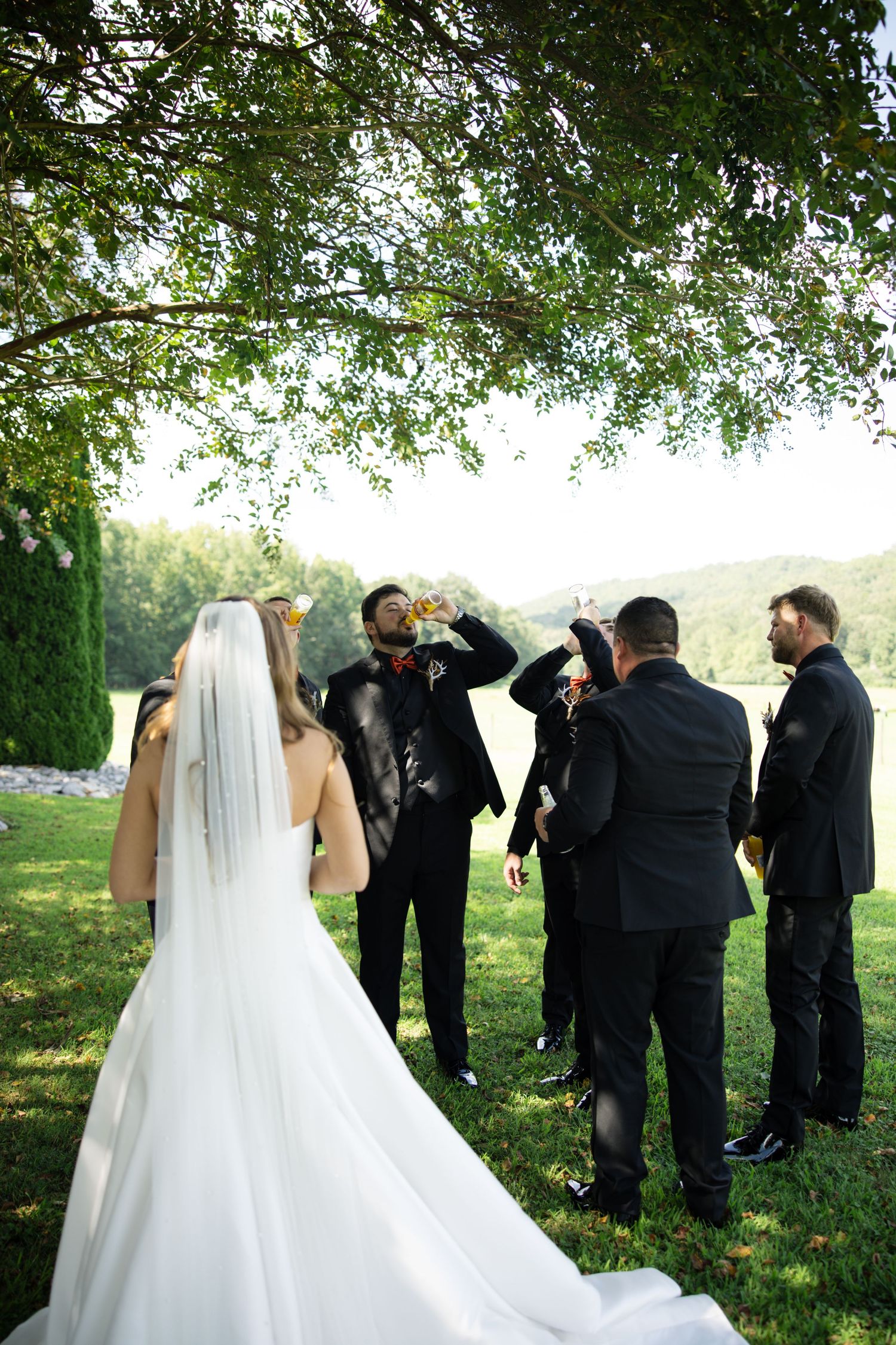 Wedding party gathers under a shady tree for outdoor photos on a sunny afternoon.