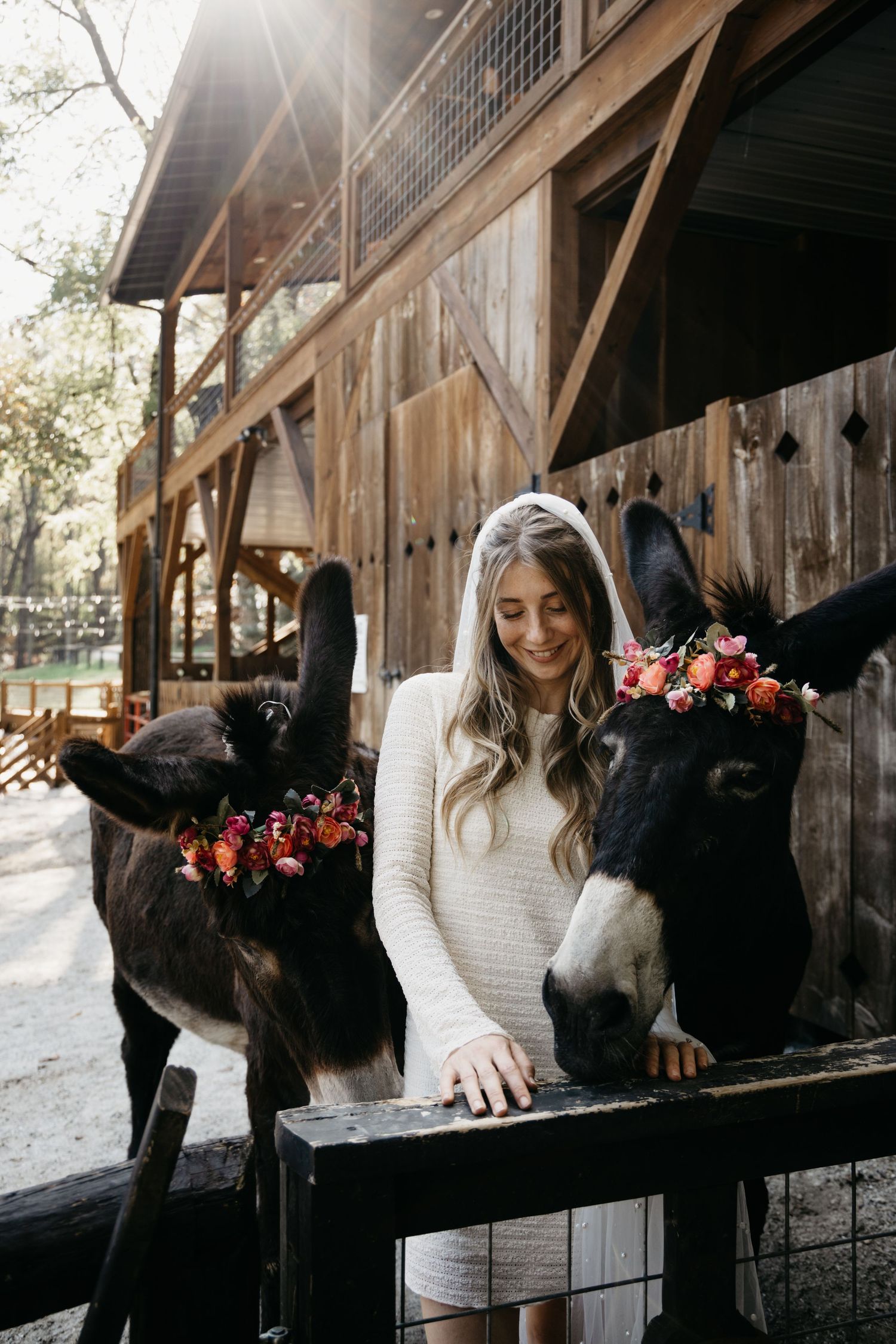 Person in white sweater interacts with two donkeys wearing floral wreaths at rustic barn.