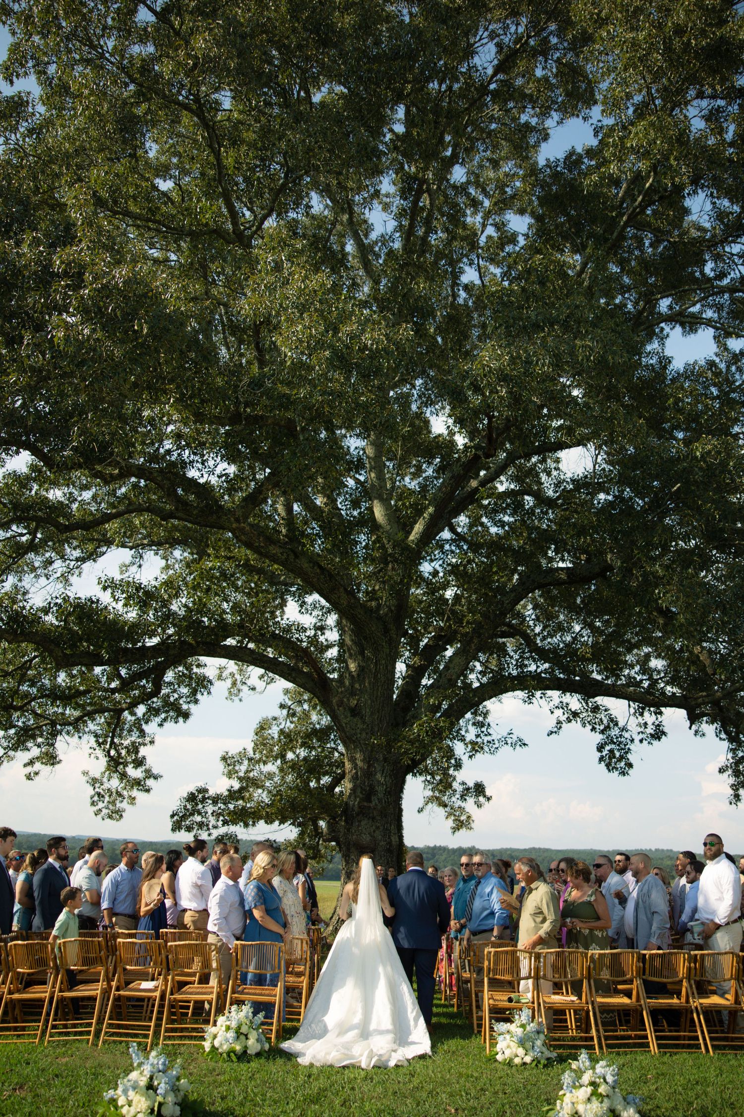 Outdoor wedding ceremony under a majestic oak tree with wooden chairs set up for guests on a sunny day.