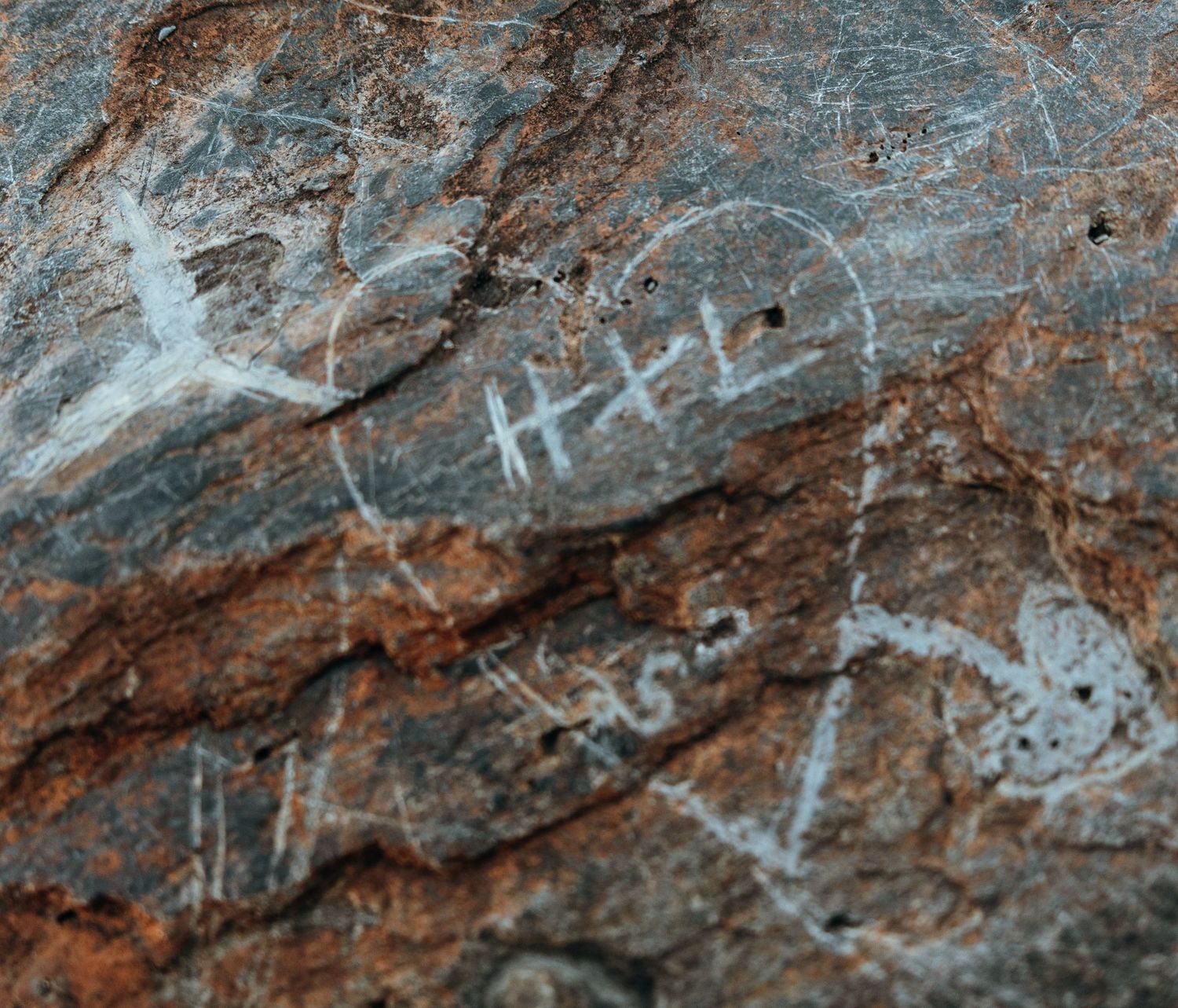 Textured rock surface with natural patterns and weathered markings.