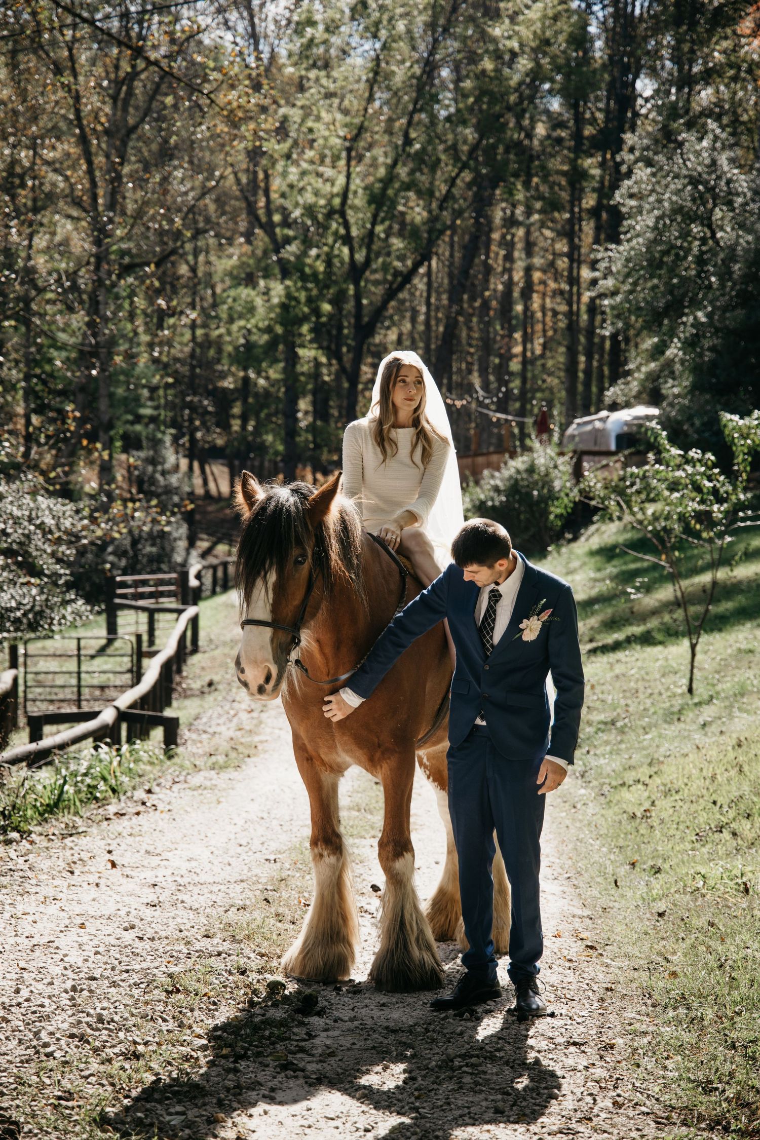 A Clydesdale horse on a wooded path accompanied by wedding attire-clad figures on an autumn day.