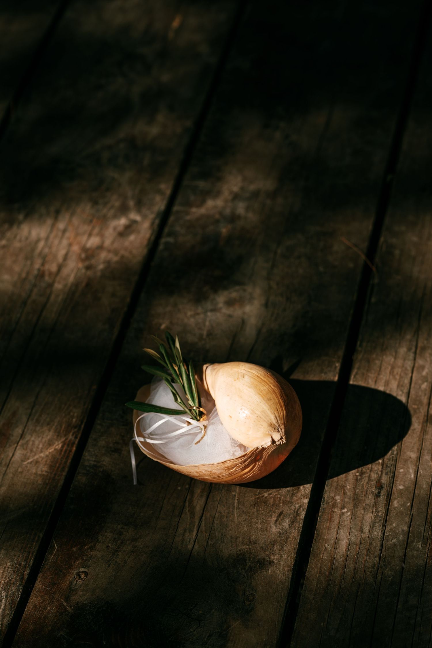A whole onion with fresh rosemary sprig on rustic dark wooden planks in dramatic natural sunlight.