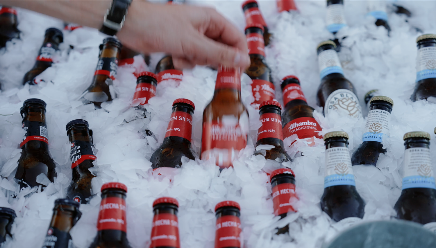 A hand reaches into a bed of crushed ice filled with chilled beer bottles with red and blue labels, ready to grab a cold drink.