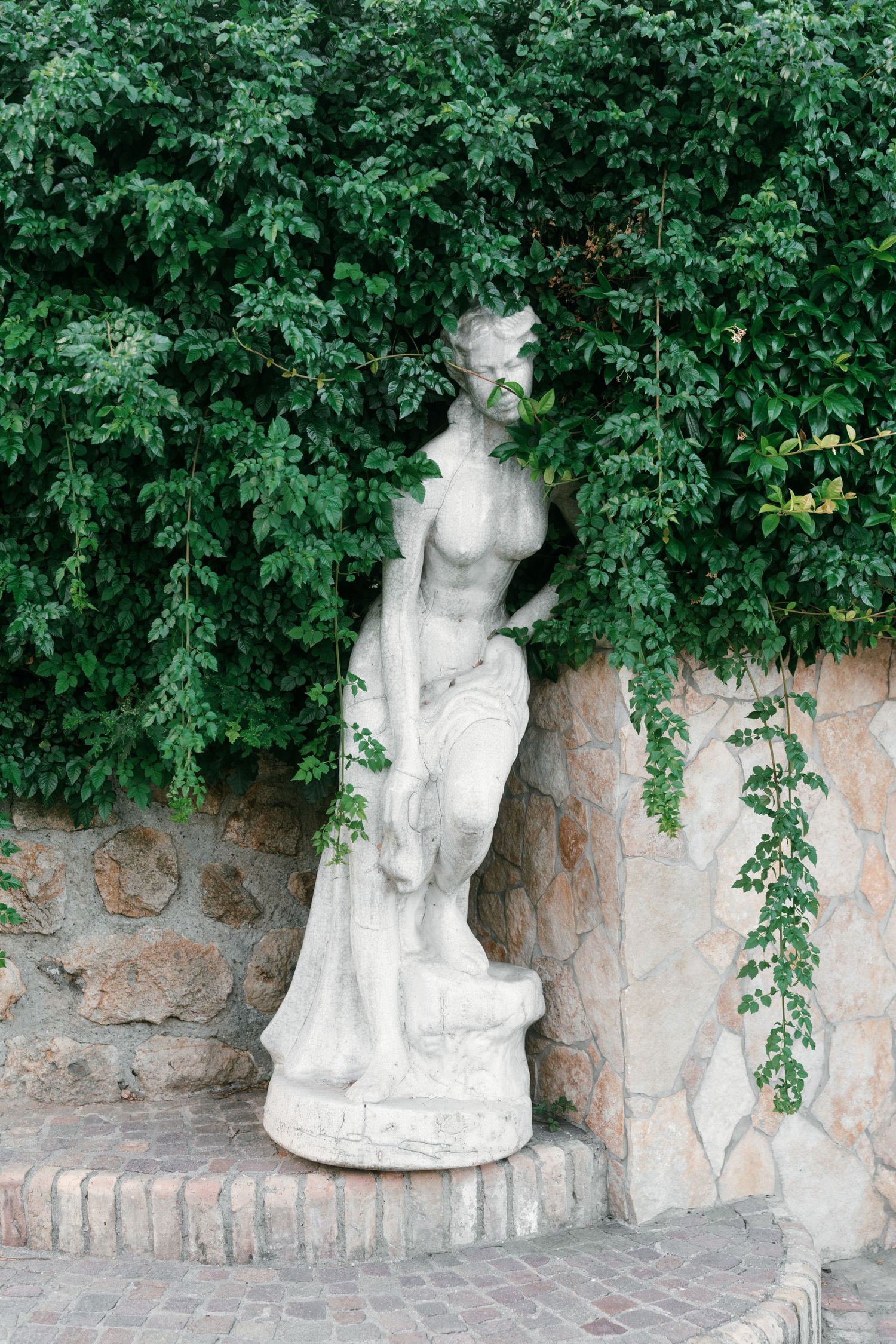Classical white marble female statue surrounded by lush green ivy against a stone garden wall. Tuscany wedding photographer, filmmaker