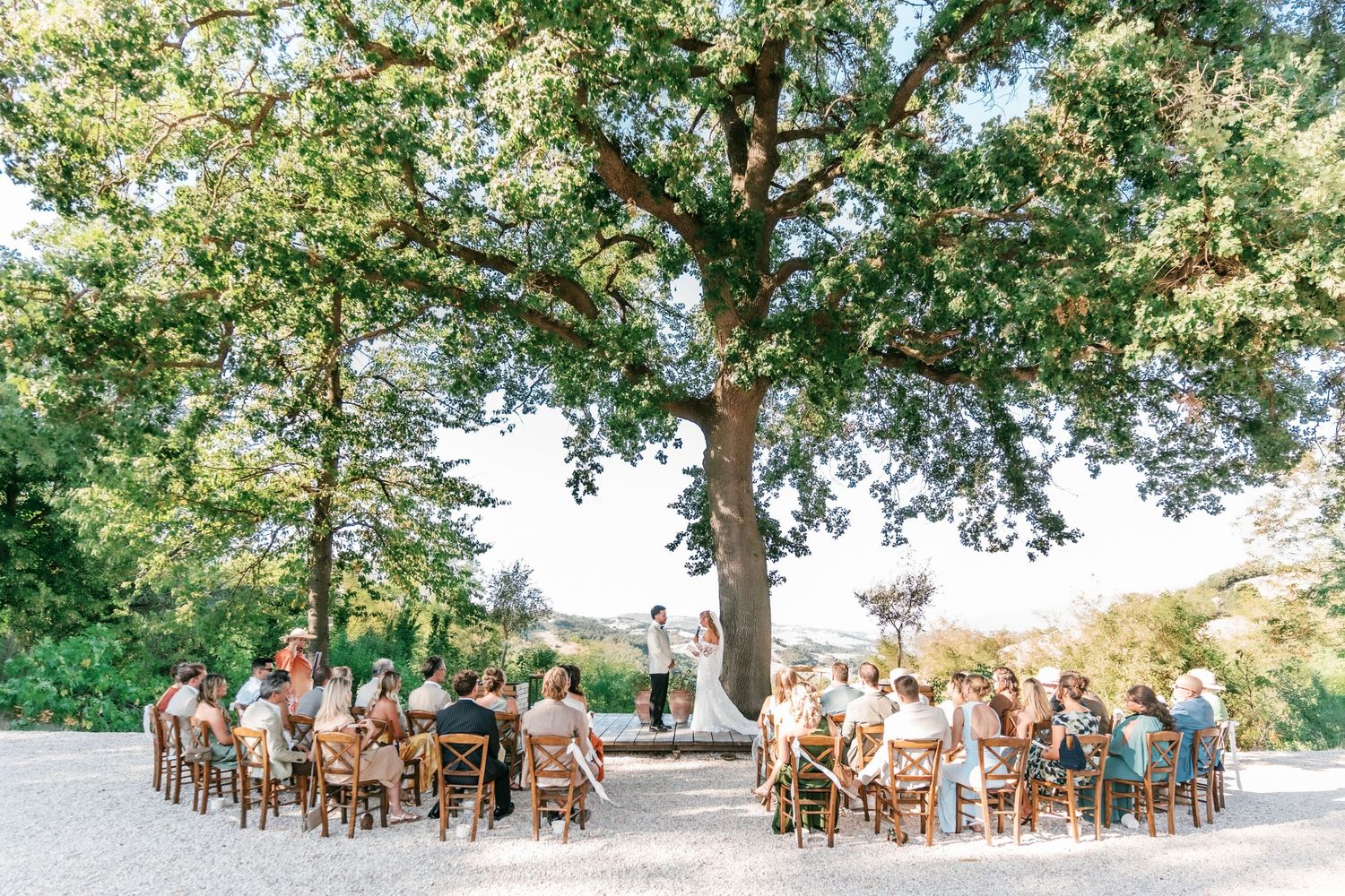 Wedding guests seated in wooden chairs watch a couple's outdoor ceremony beneath a large shady tree on a sunny gravel courtyard.
