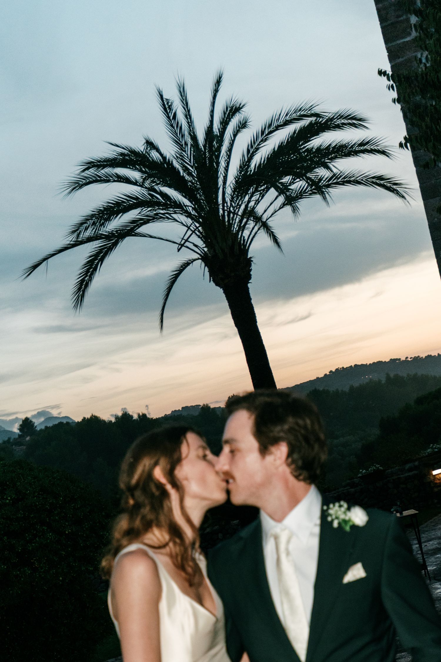 Bride and groom kiss at sunset beneath a tall palm tree, with rolling hills and a soft pastel sky behind them.