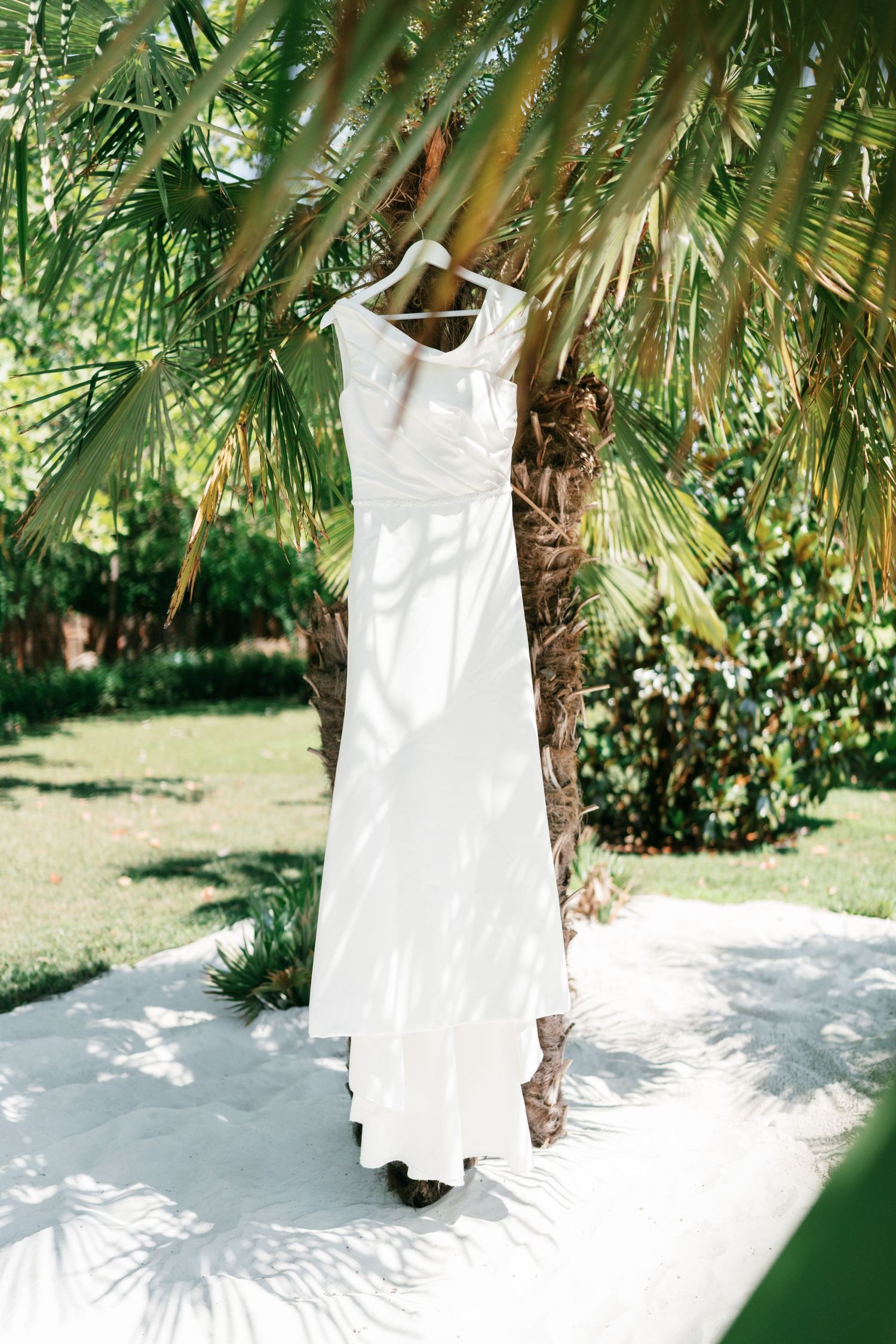 White wedding dress hanging on a palm tree in a tropical garden, displayed on a hanger in bright sunlight in Villa Cetinale, Tuscany.