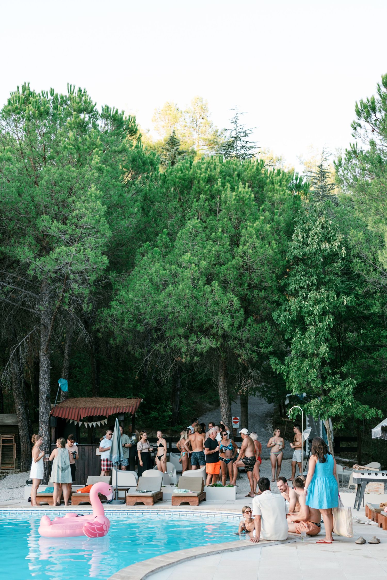 People enjoying a pool party with a pink flamingo float, surrounded by lush green trees at an outdoor gathering.