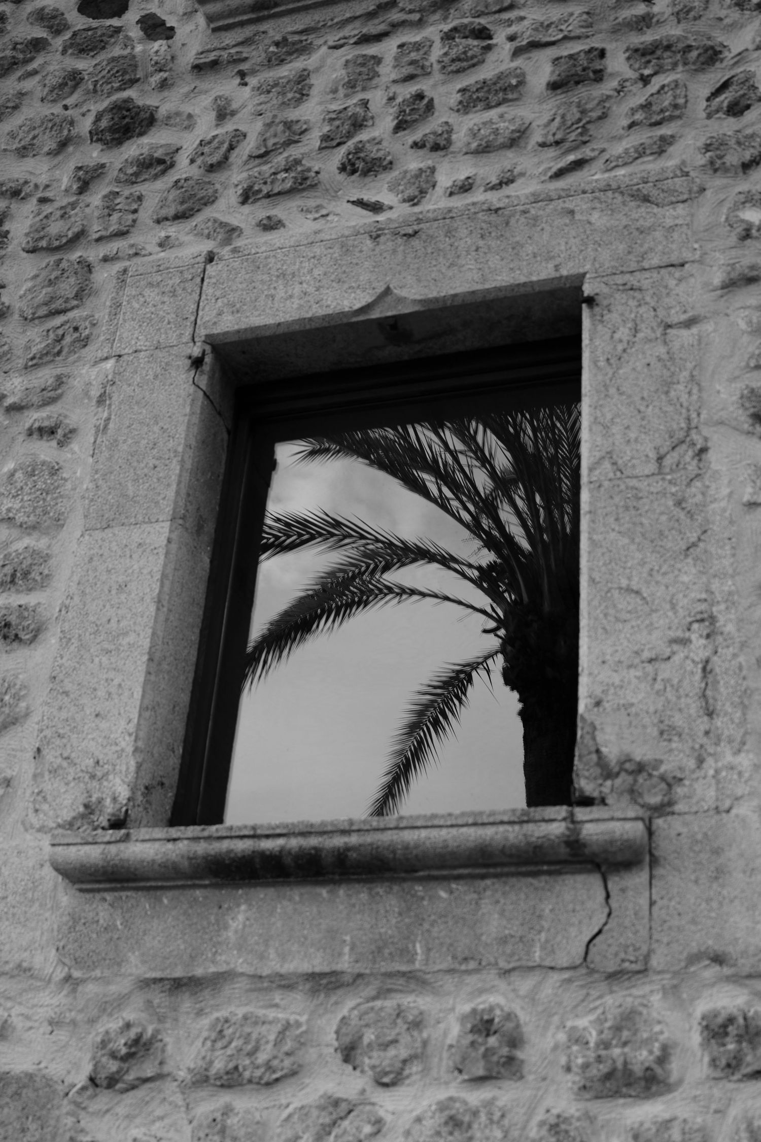 Black and white photo of a palm tree reflected in a window set in a rustic stone wall with a weathered sill.