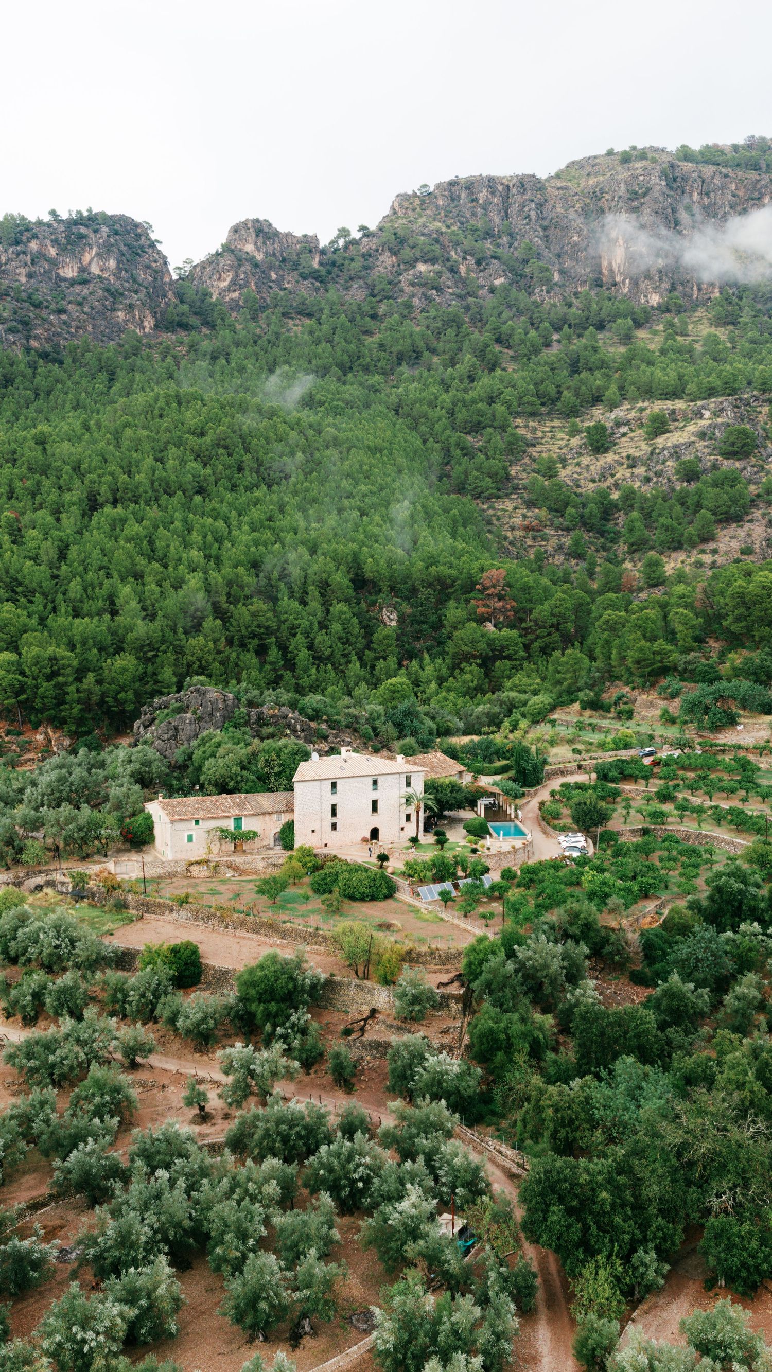Aerial view of a stone farmhouse with a pool surrounded by olive groves and dense green forest beneath rocky, mist-covered mountain cliffs.