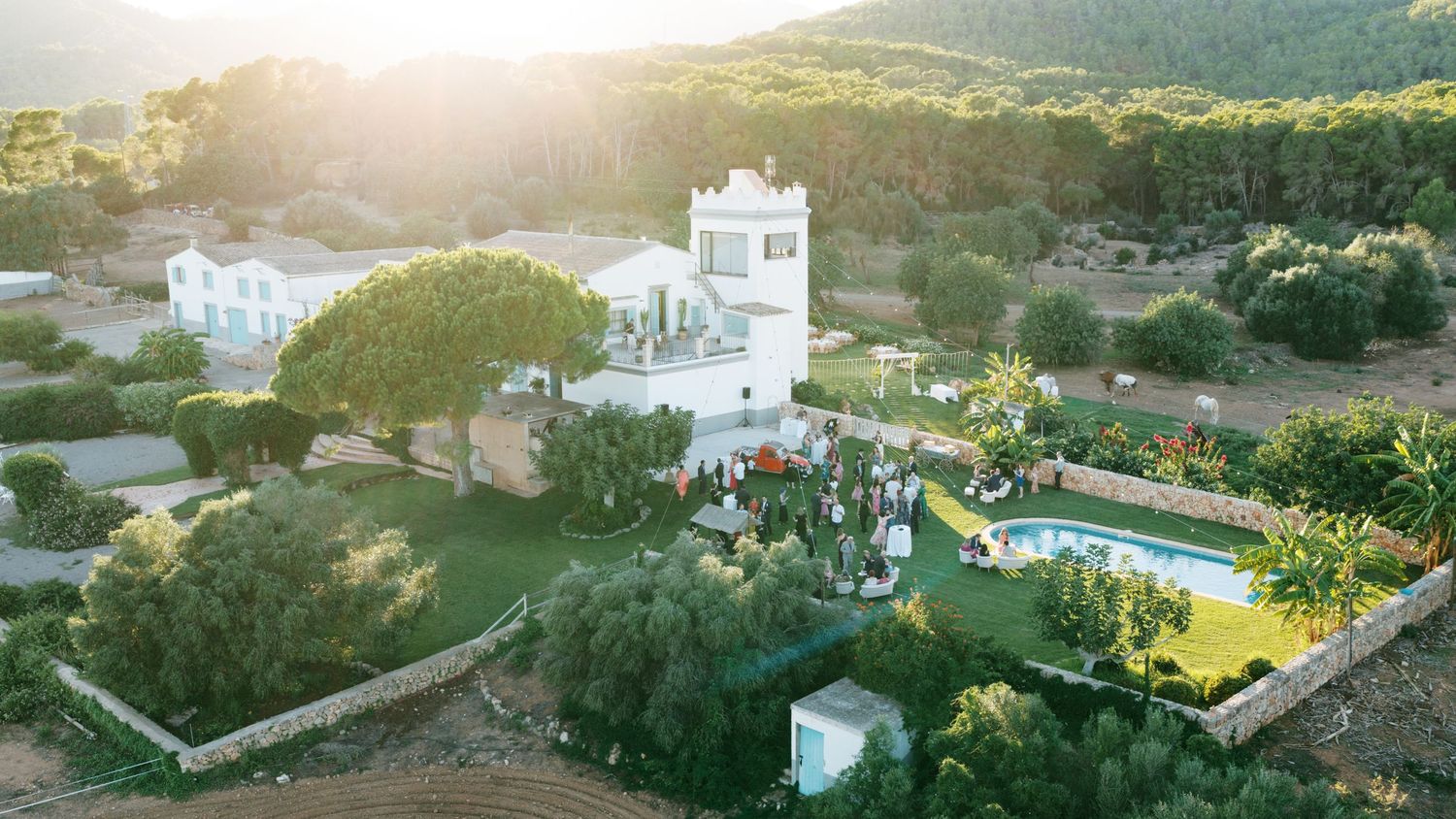 Aerial view of a whitewashed Mediterranean villa with a swimming pool, lush gardens and olive trees glowing in warm golden sunset light.