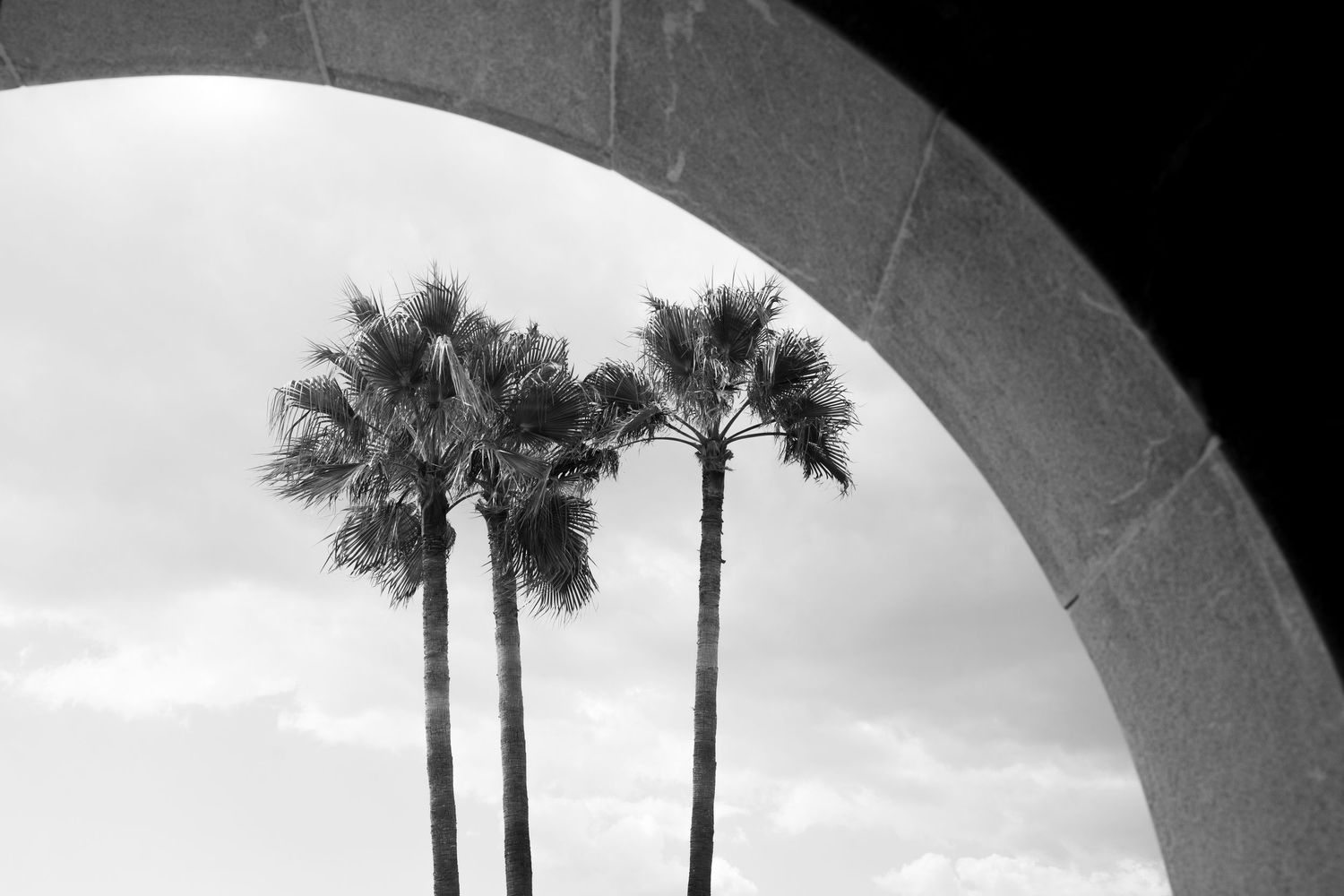 Black and white photo of three tall palm trees framed by a stone arch against a cloudy sky. Mallorca wedding photographer.