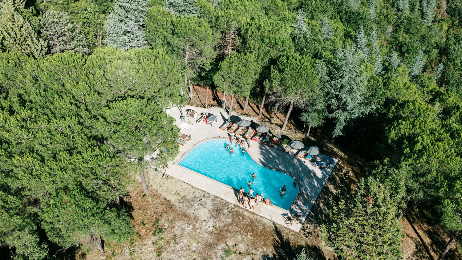 Aerial view of a stunning outdoor swimming pool surrounded by lush green trees and sunbathers on a sunny day.