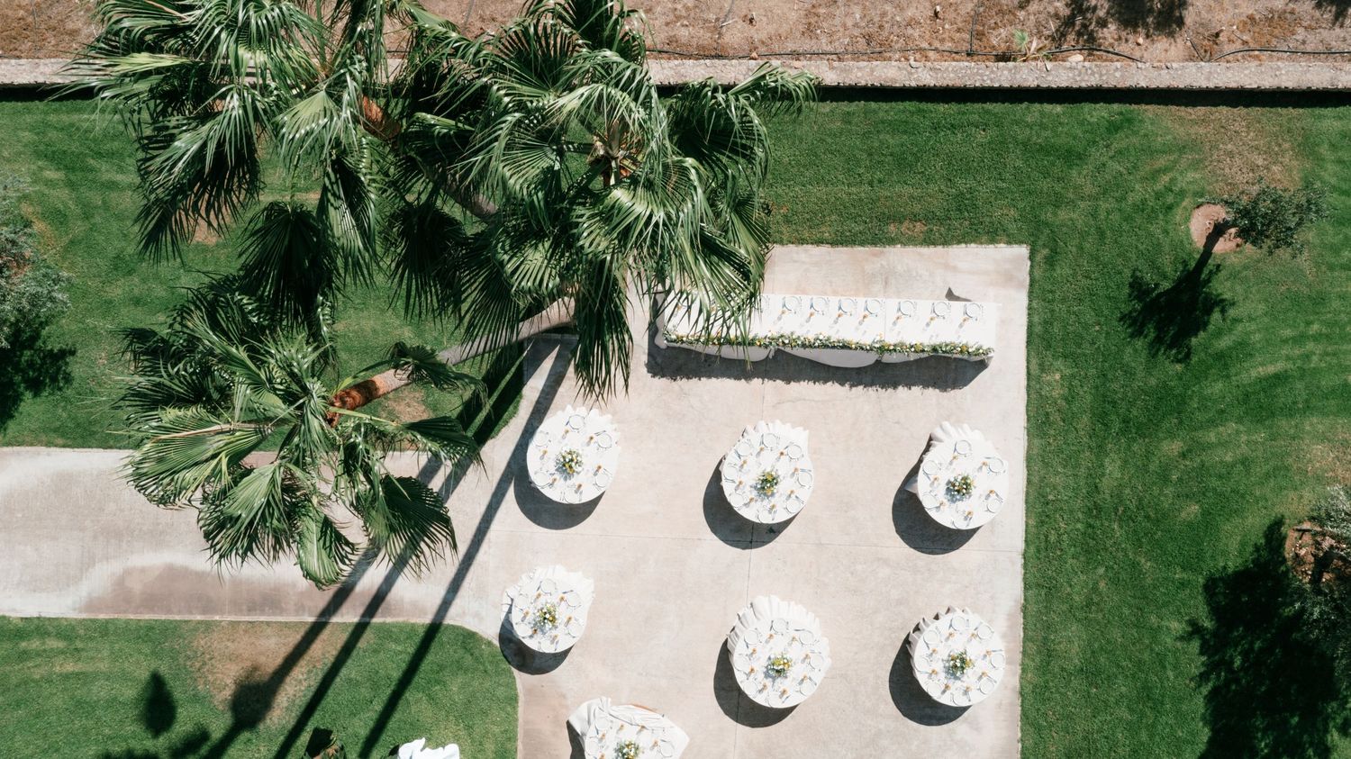 Aerial view of a resort patio with white umbrella tables surrounded by lush green lawn and tall palm trees. Mallorca wedding photographer.