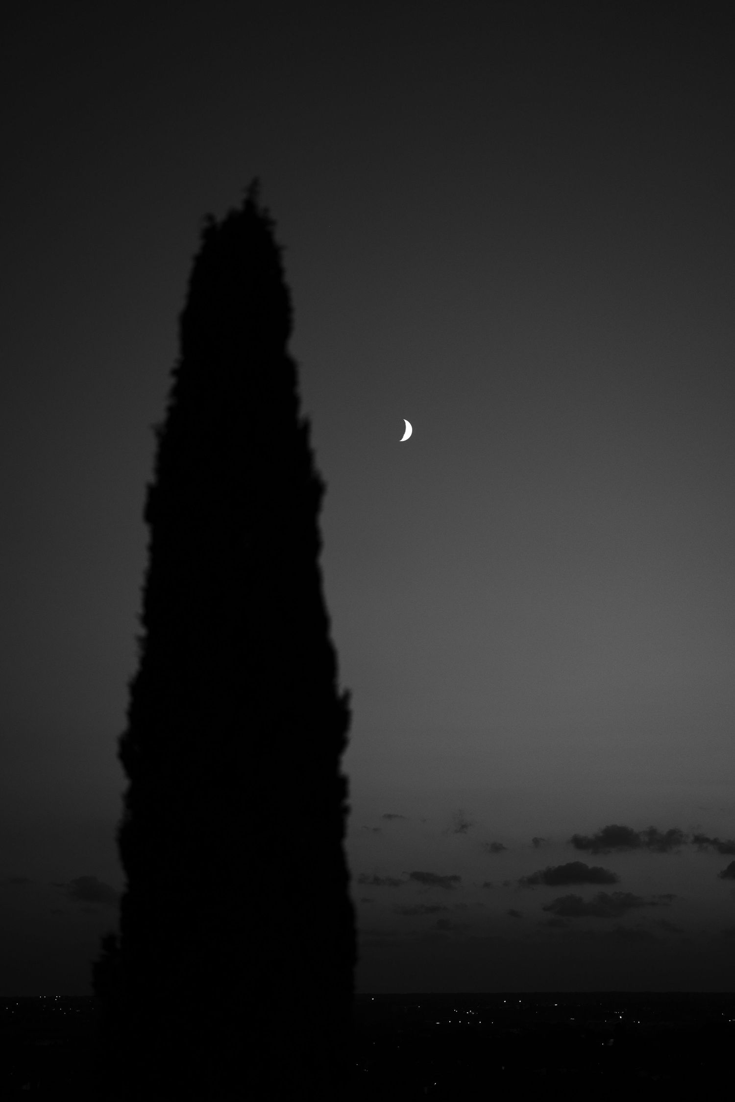 Black and white silhouette of a tall cypress tree against a dusky sky with a crescent moon and distant city lights.