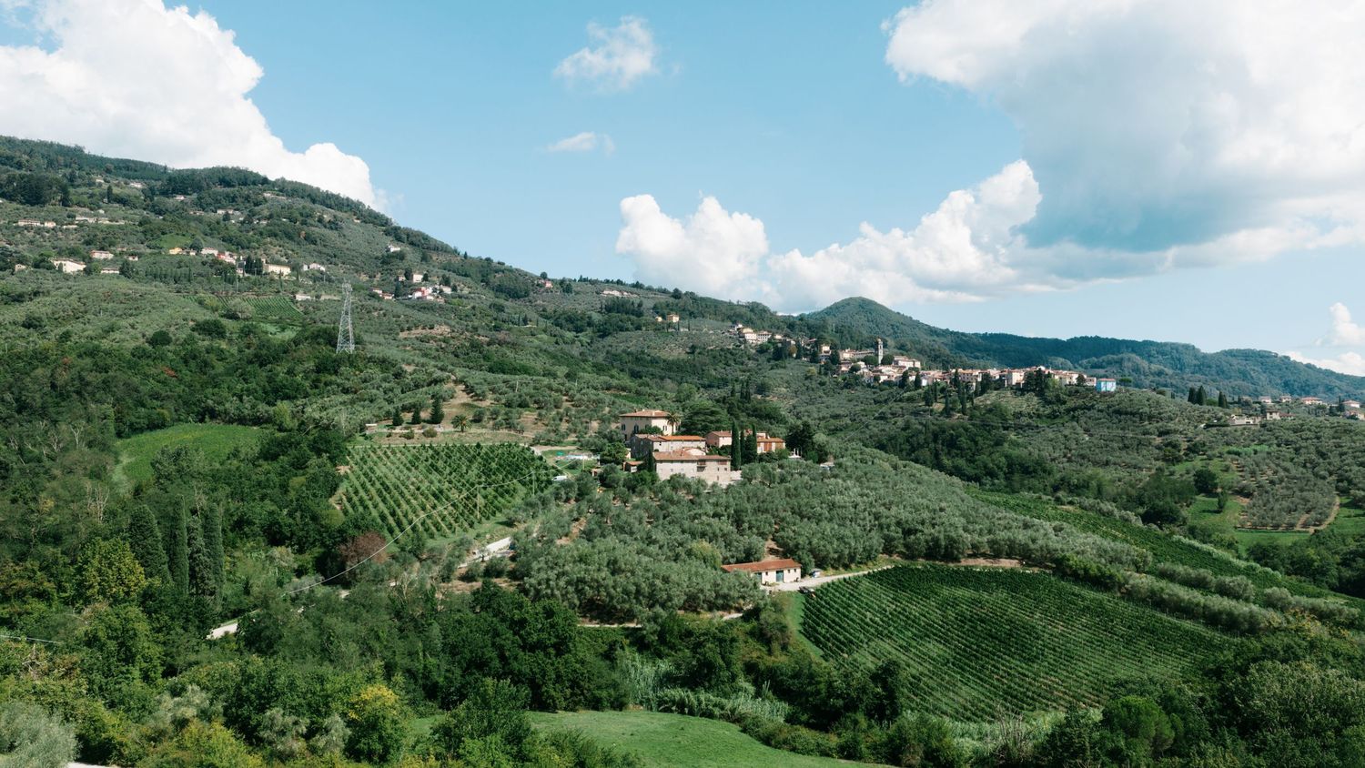 Aerial view of lush green hillside vineyards and scattered villas in a scenic Tuscan countryside valley under a bright blue sky.