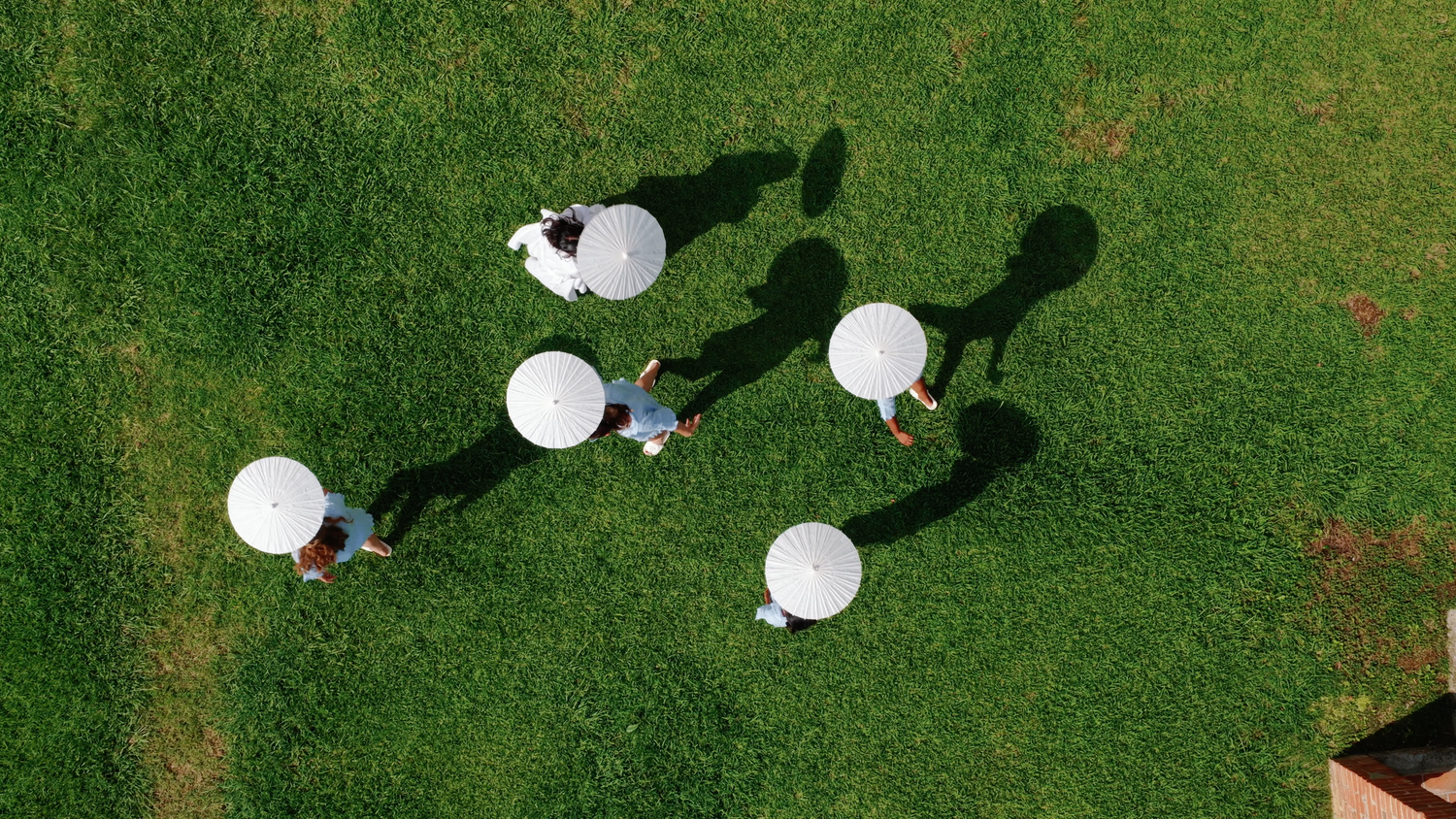 Aerial view of five people on a green grass field, each holding a large white round umbrella and casting long shadows.