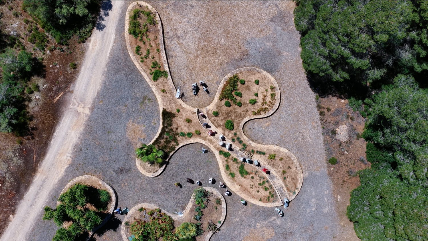 Aerial view of people walking along a winding paved loop path with landscaped islands, surrounded by dense green trees and dry dirt terrain.