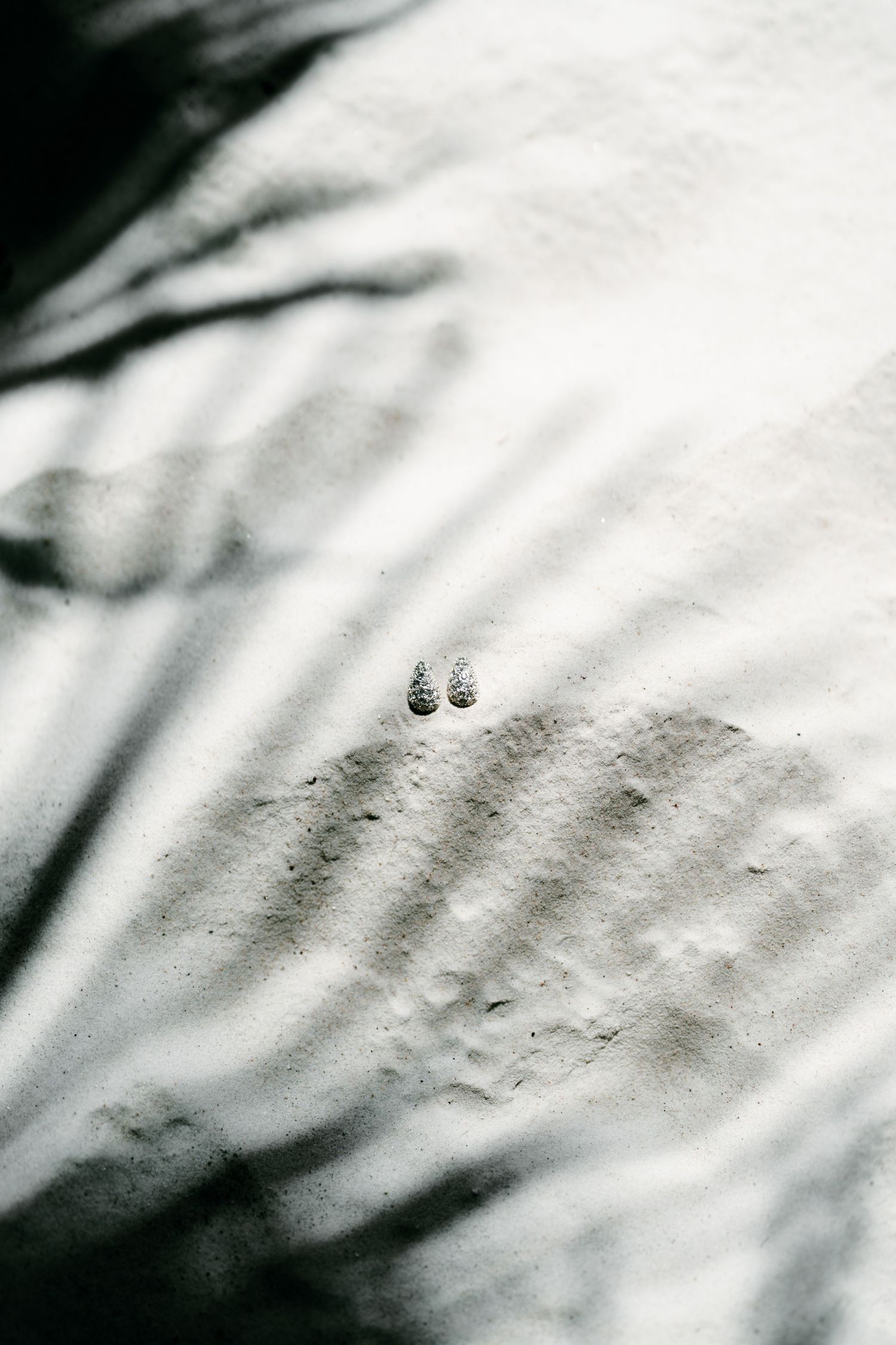 Two small shells rest on white sand with palm tree shadows creating elegant patterns in black and white in Villa Medicea di Lilliano.