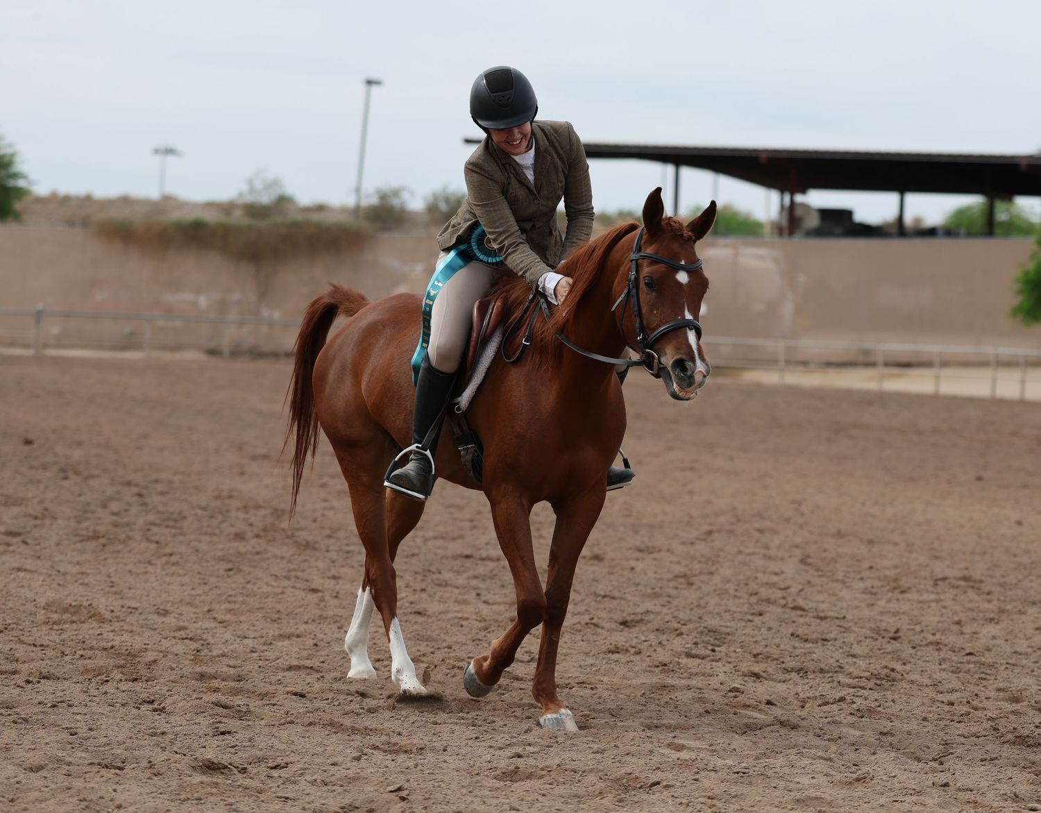Adult rider and chestnut horse after a class