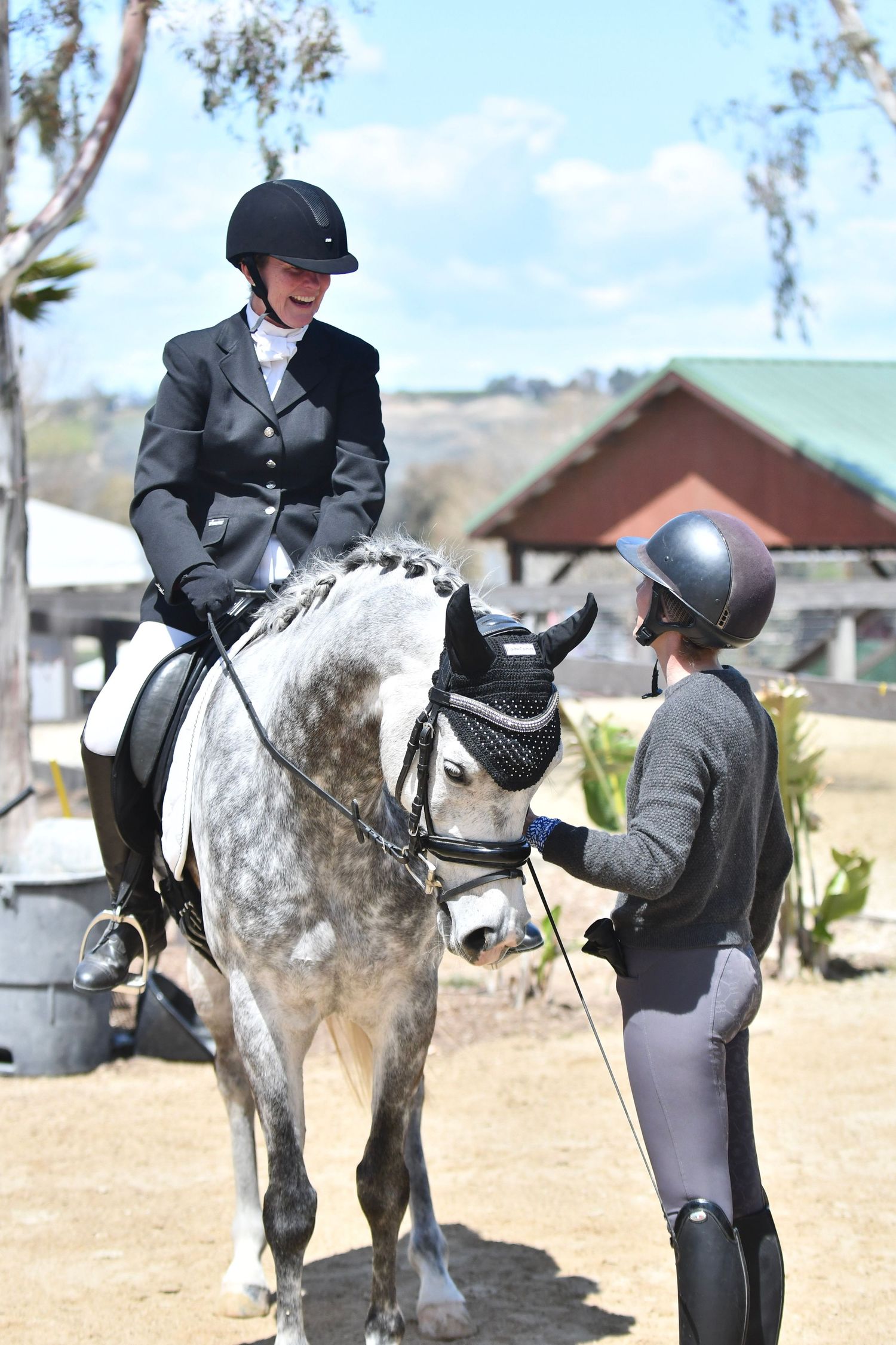 Grey horse and rider talk to horse trainer who is on the ground.