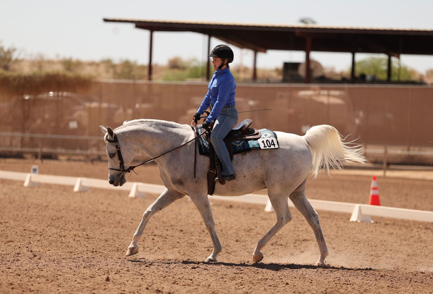 Adult woman riding white horse in western dressage