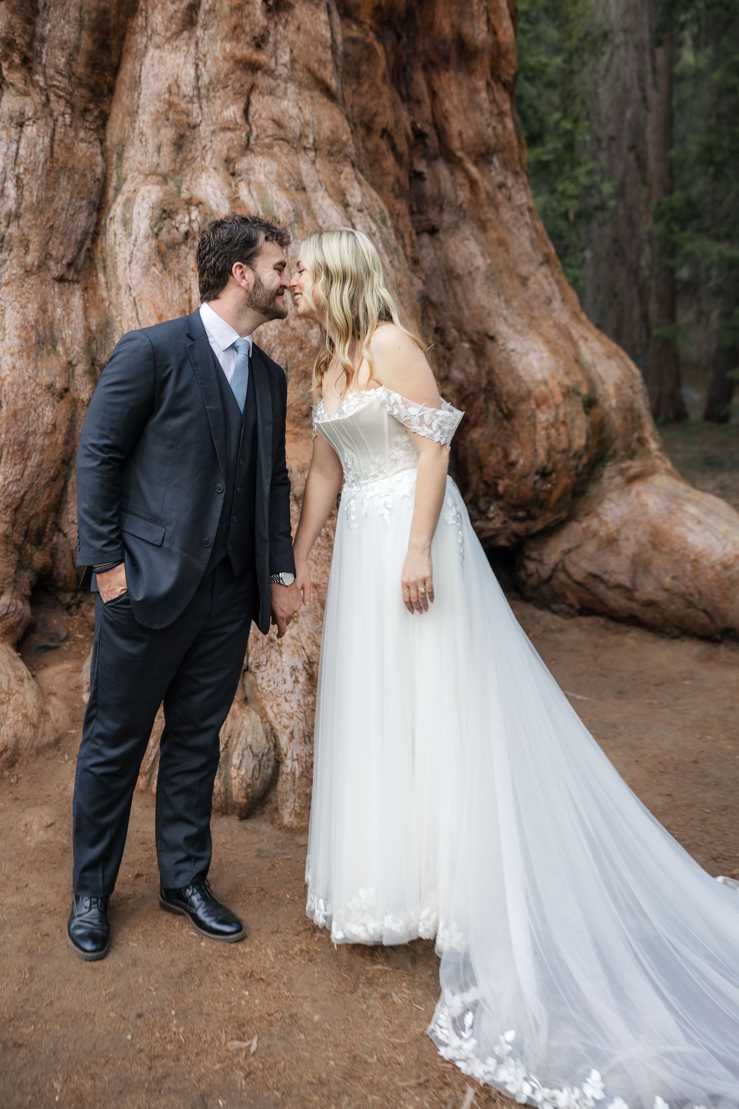 Elopement Sequoia National Park, California