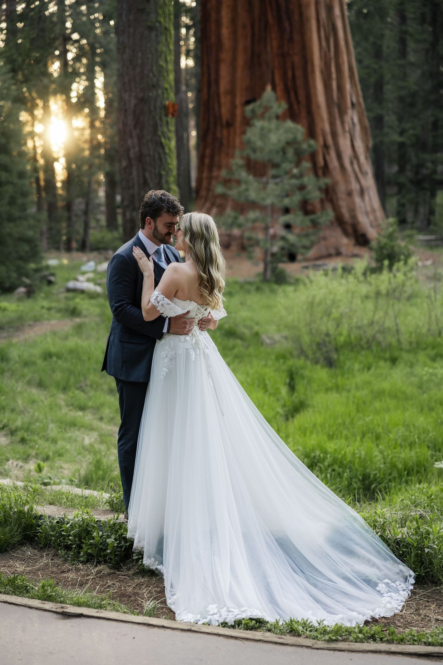 Elopement Sequoia National Park, California